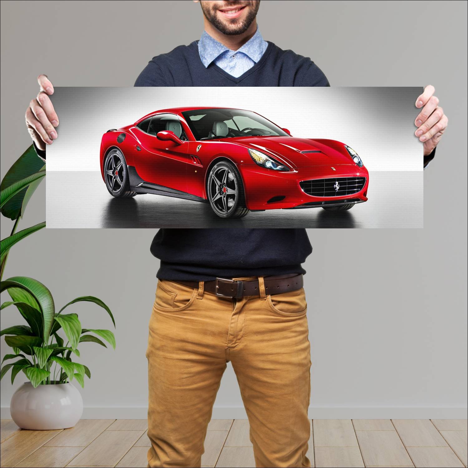 Cuadro grande 30x80cm 2010 ferrari california limi 456 Ferrari
