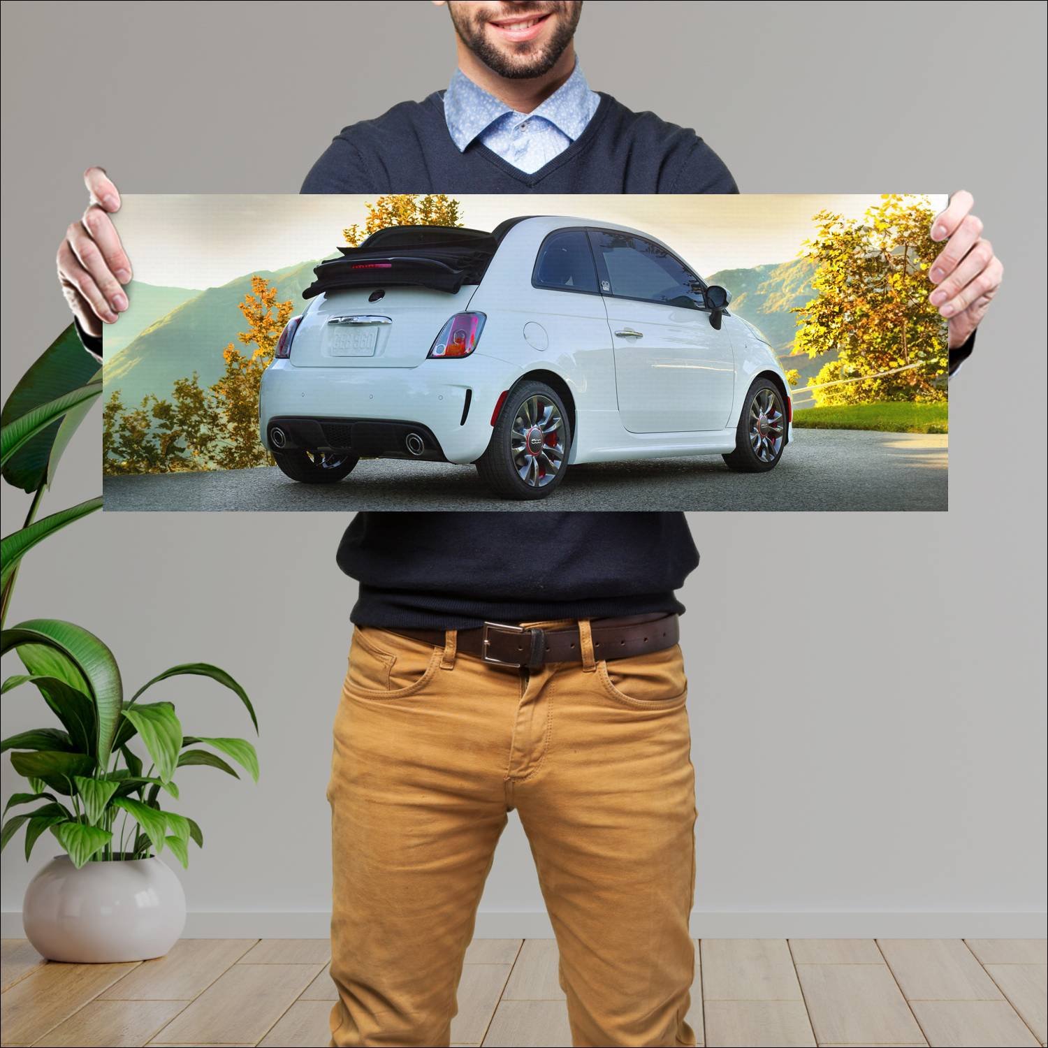 Cuadro grande 30x80cm 2014 fiat 500c gq us auto 60 Fiat