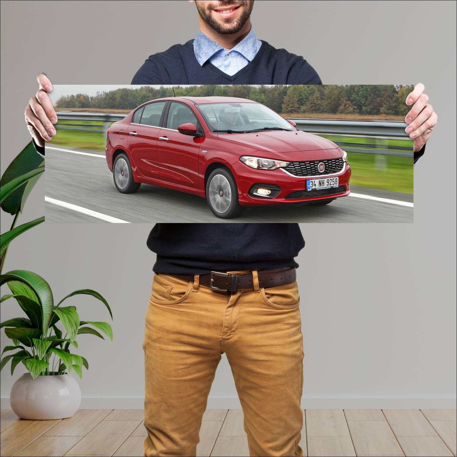Cuadro grande 30x80cm 2015 fiat egea auto 87 Fiat