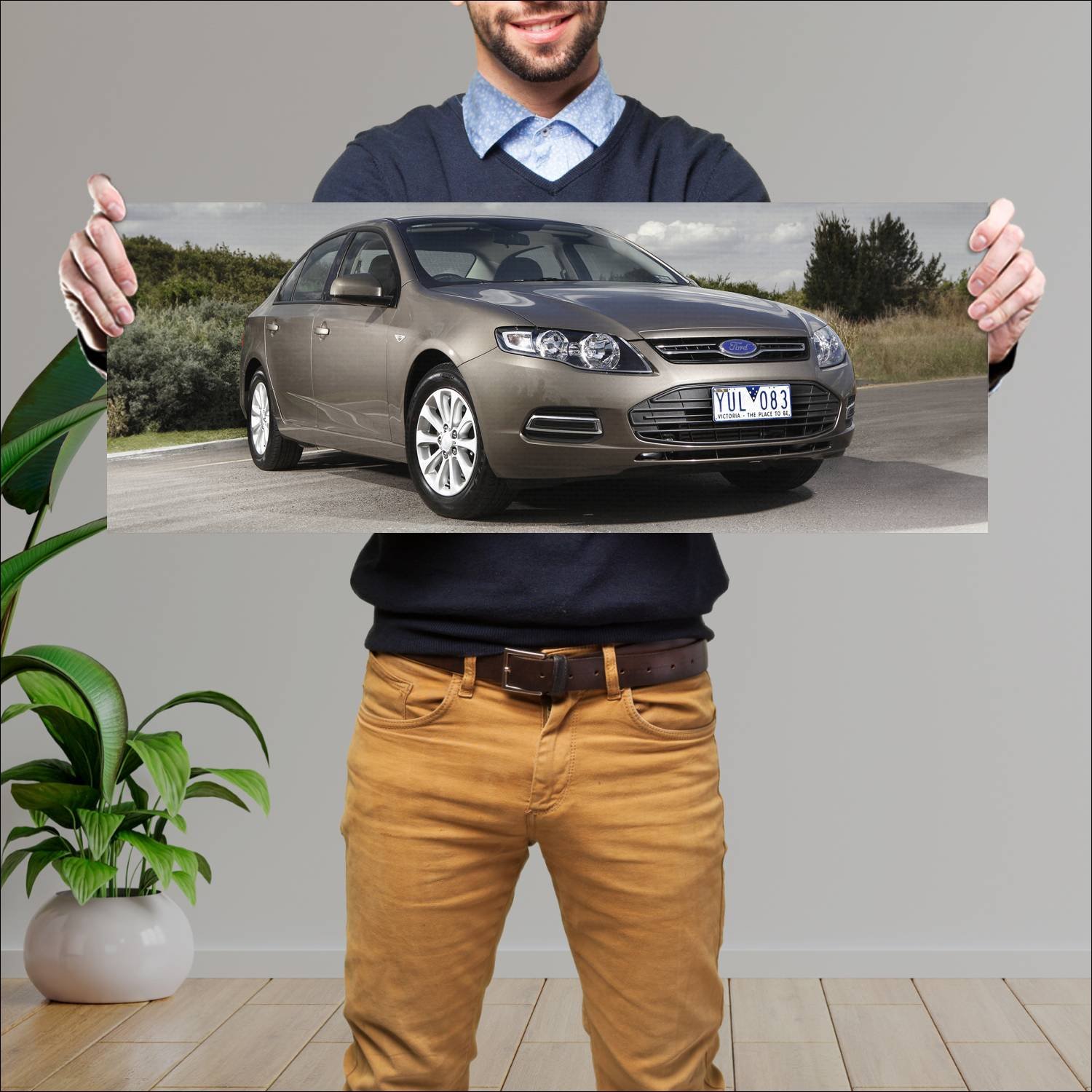 Cuadro grande 30x80cm 2011 ford falcon xt auto 29 Ford