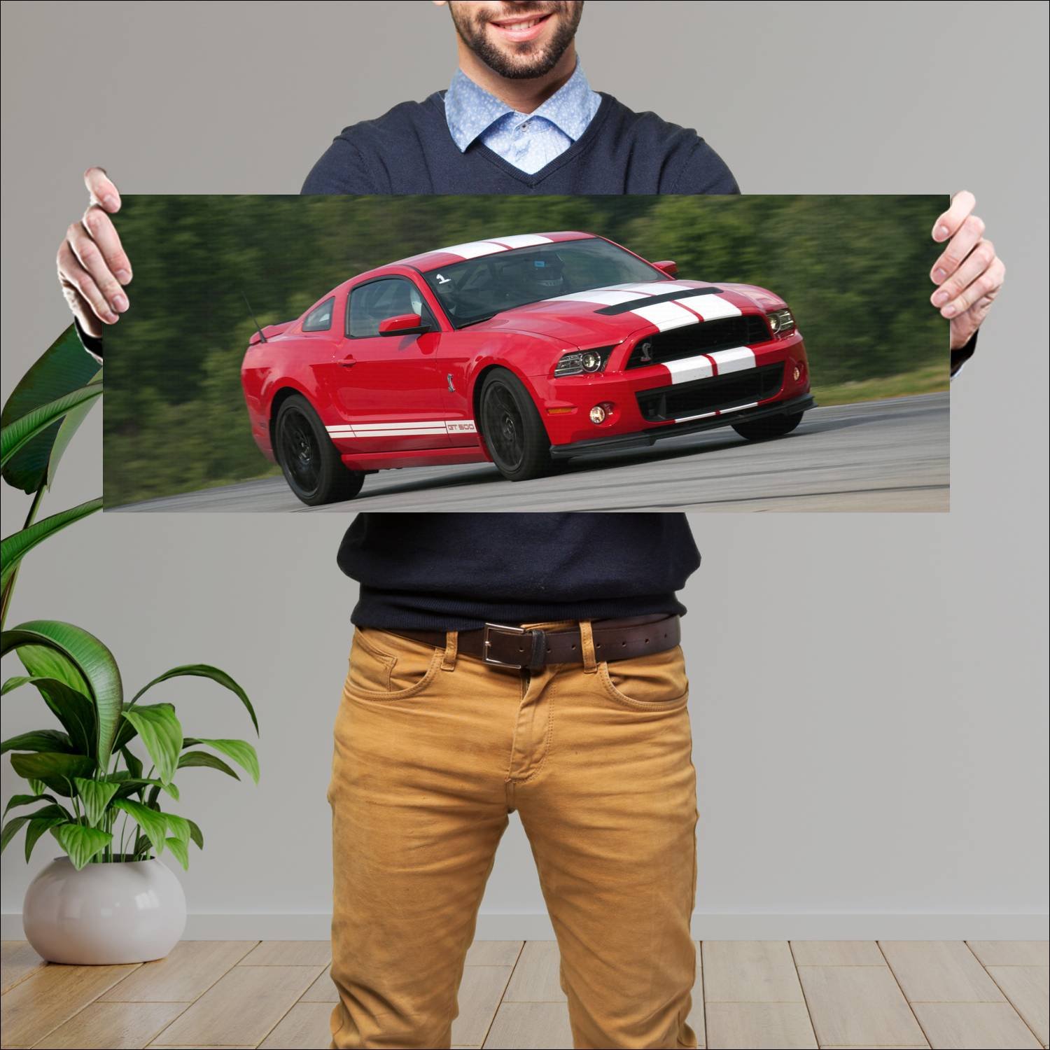 Cuadro grande 30x80cm 2012 shelby gt500 svt 6780 61 Ford