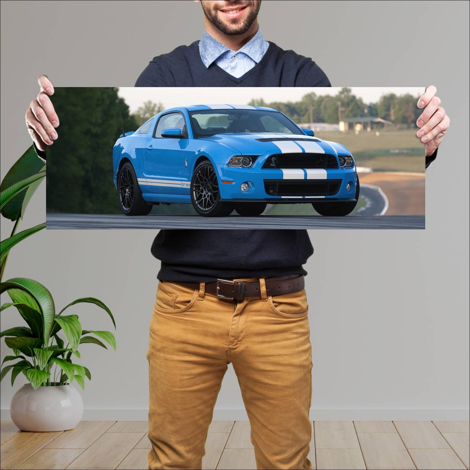 Cuadro grande 30x80cm 2012 shelby gt500 svt 6781 62 Ford