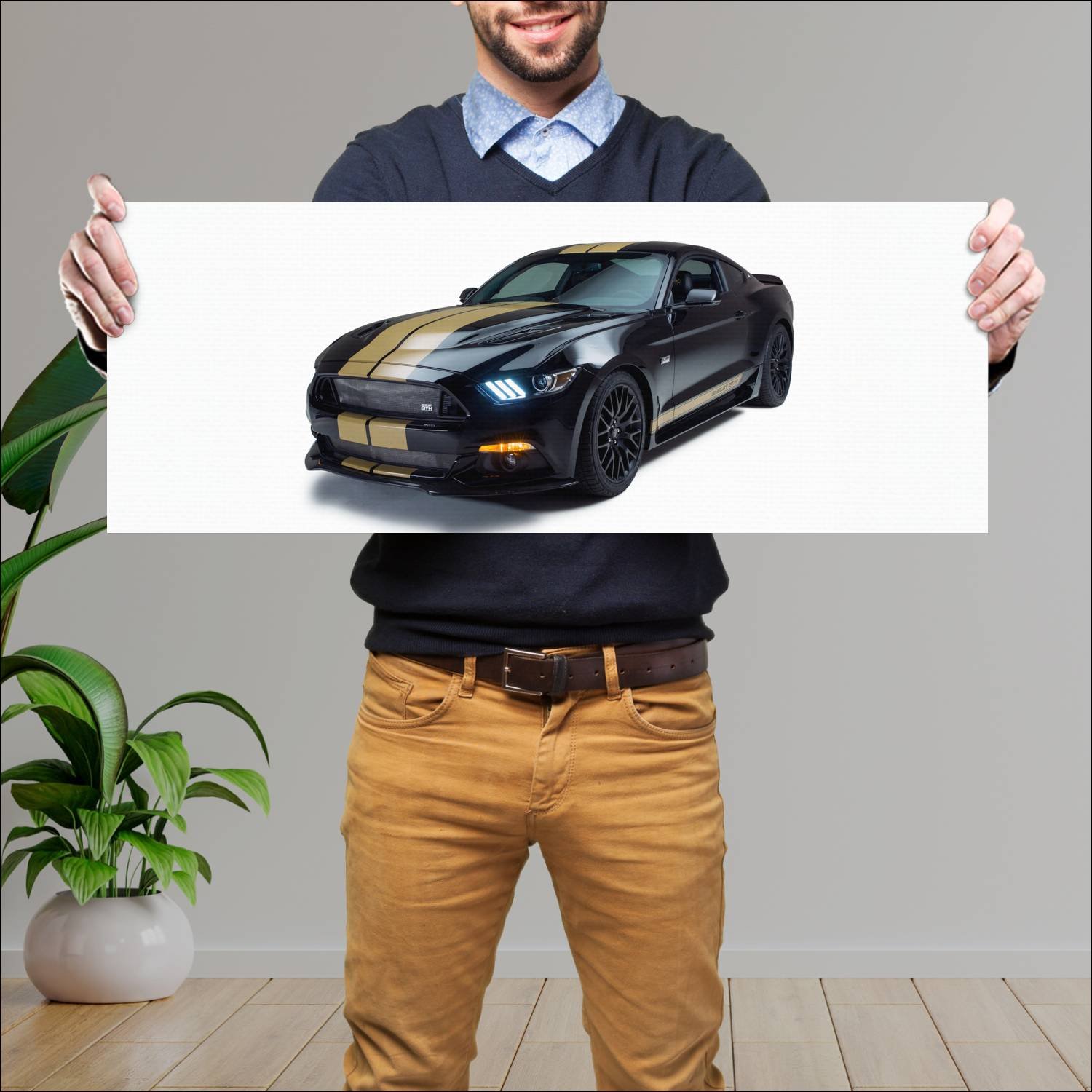 Cuadro grande 30x80cm 2016 shelby gt h auto 173 Ford