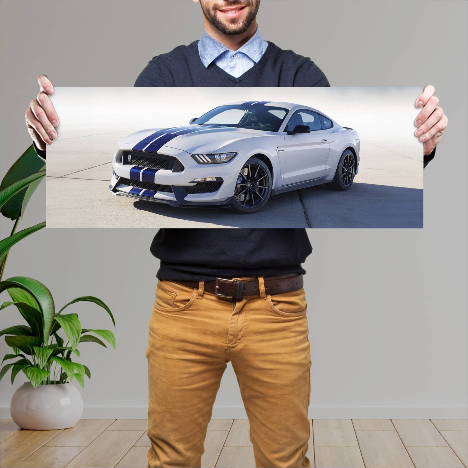 Cuadro grande 30x80cm 2016 shelby gt350 mustang 15 174 Ford