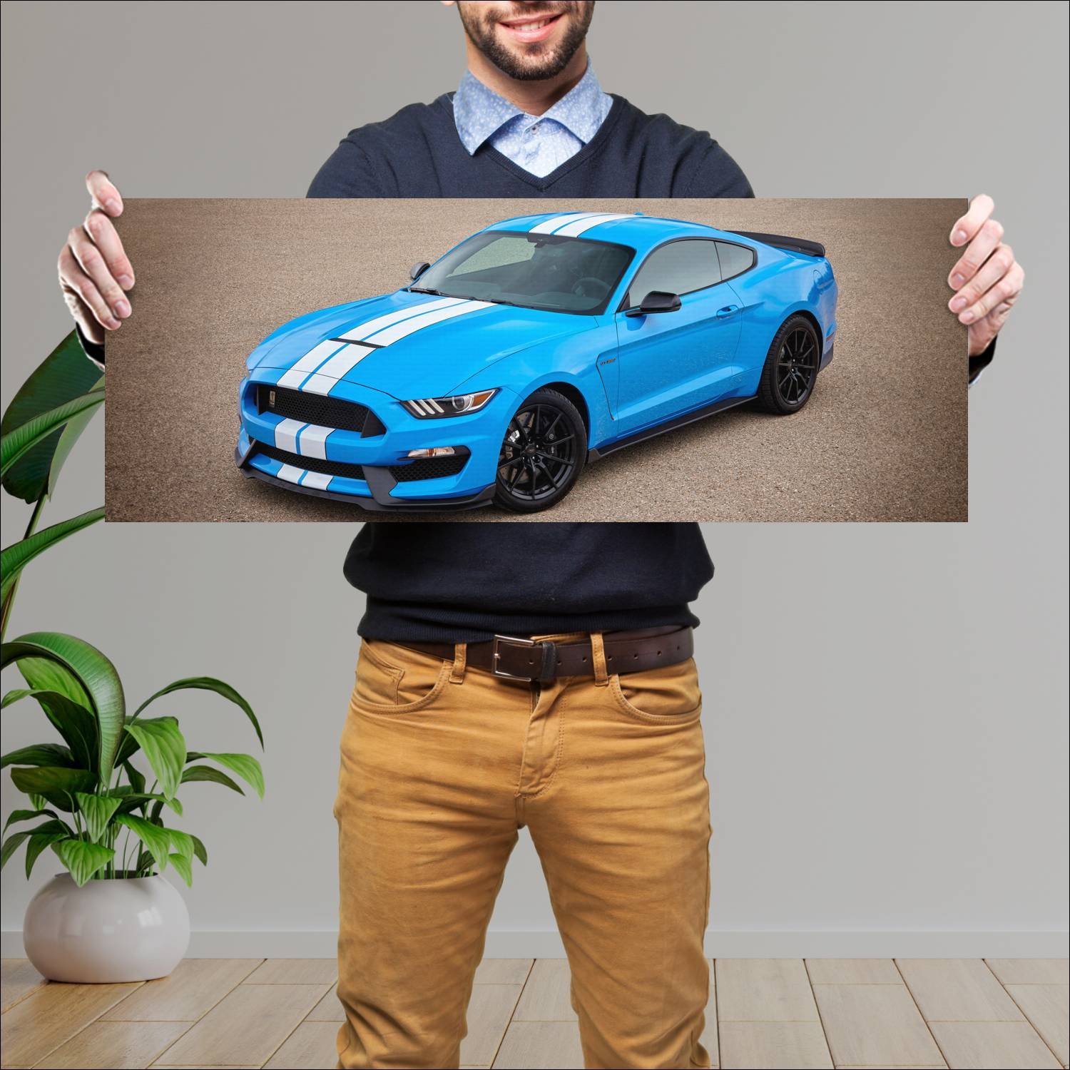 Cuadro grande 30x80cm 2016 shelby gt350 mustang 42 175 Ford