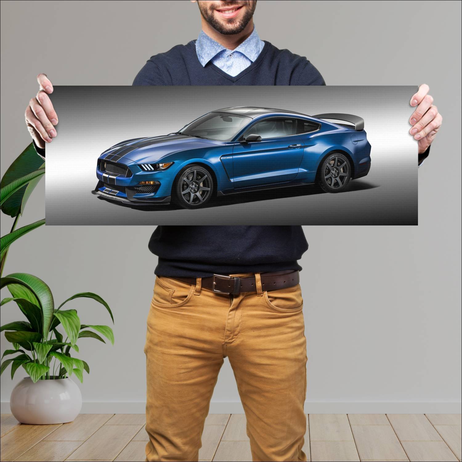 Cuadro grande 30x80cm 2016 shelby gt350r mustang 1 176 Ford