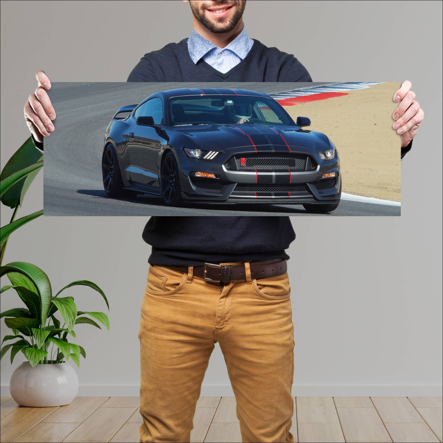 Cuadro grande 30x80cm 2016 shelby gt350r mustang 3 178 Ford