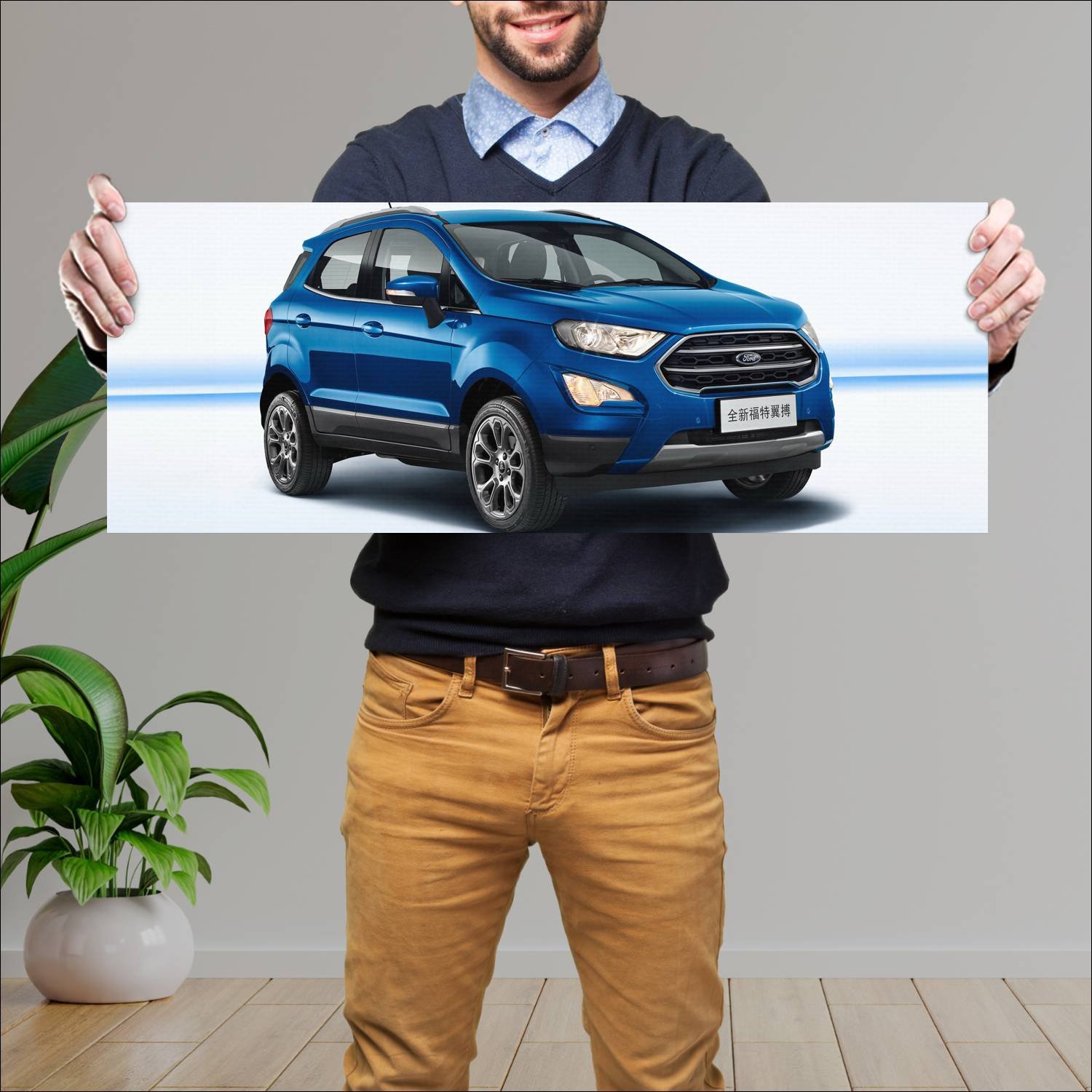 Cuadro grande 30x80cm 2017 ford ecosport cn auto 179 Ford