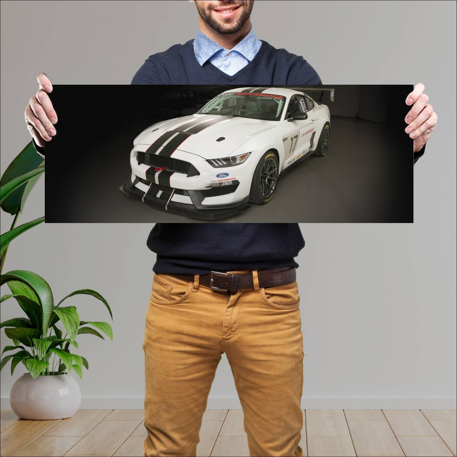Cuadro grande 30x80cm 2017 shelby fp350s mustang 5 220 Ford