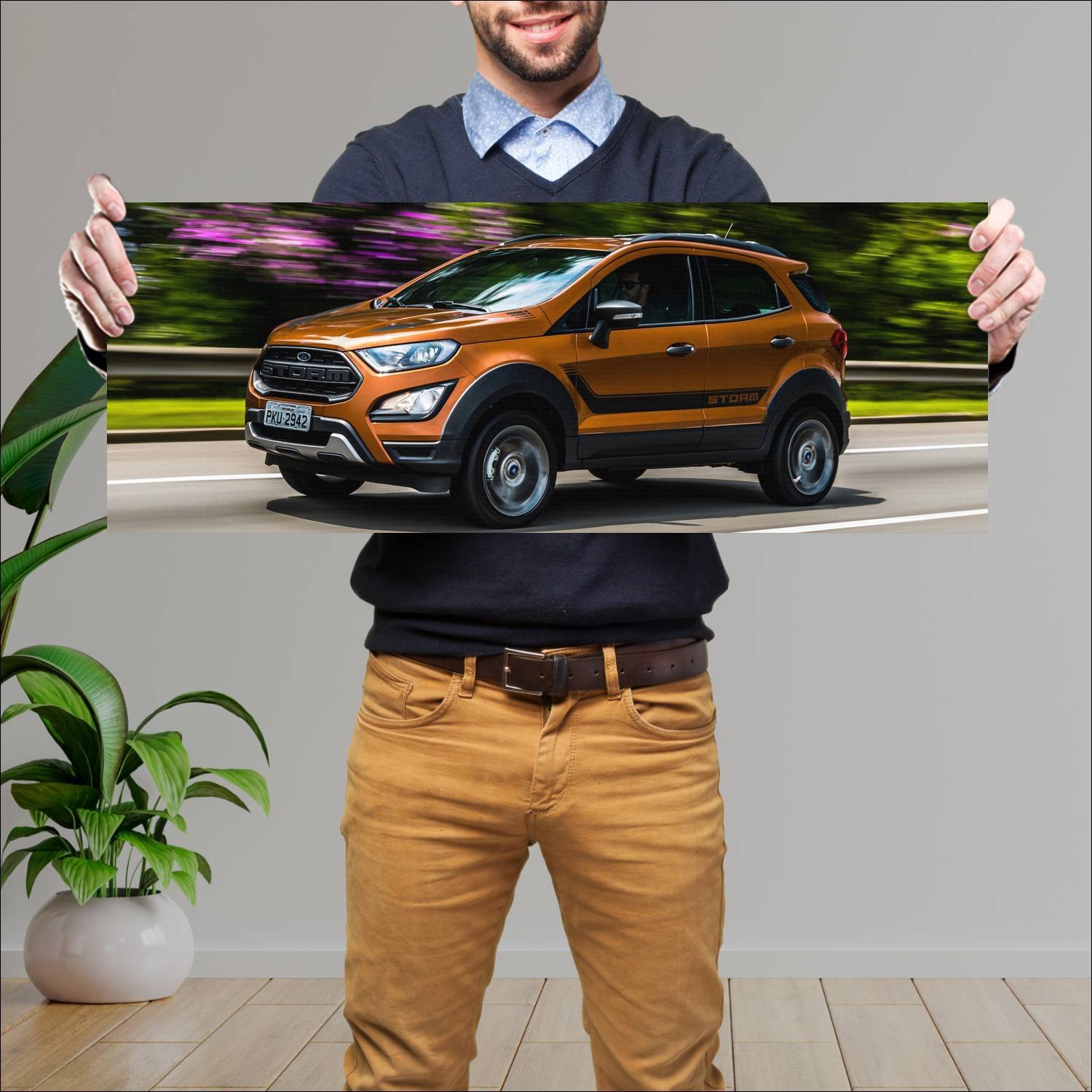Cuadro grande 30x80cm 2018 ford ecosport storm br 223 Ford