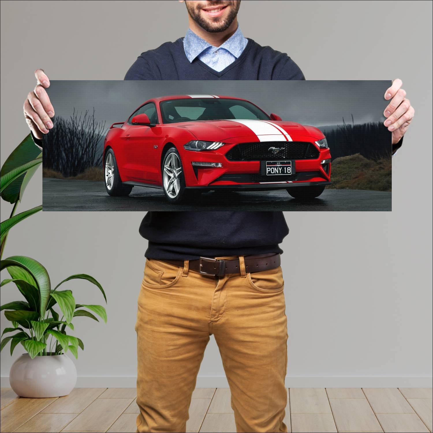 Cuadro grande 30x80cm 2018 ford mustang gt au Ford