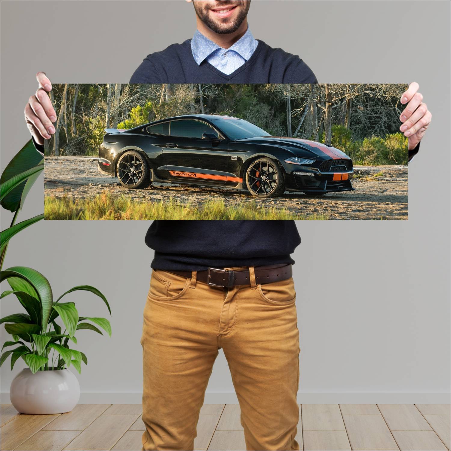 Cuadro grande 30x80cm 2019 shelby gt s auto 321 Ford