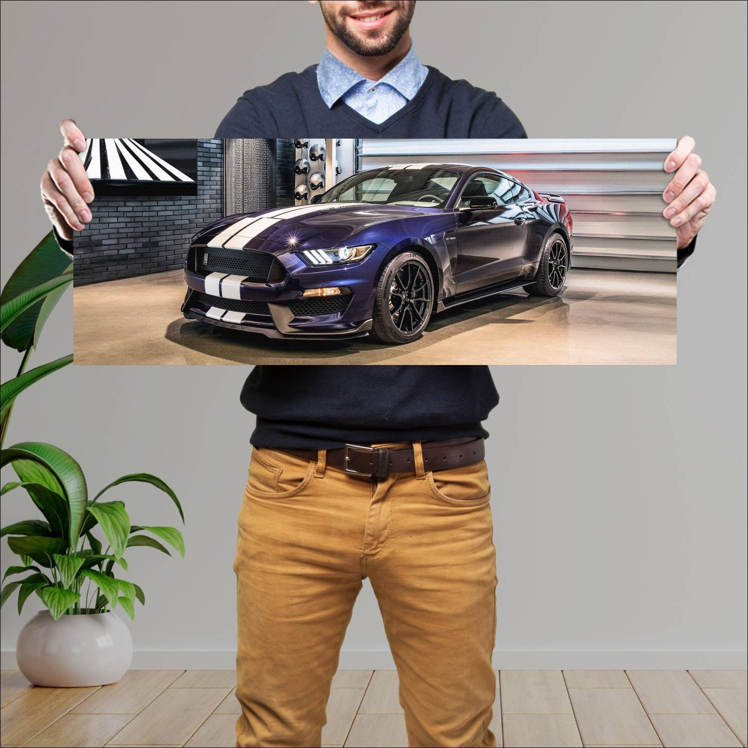 Cuadro grande 30x80cm 2019 shelby gt350 auto 322 Ford