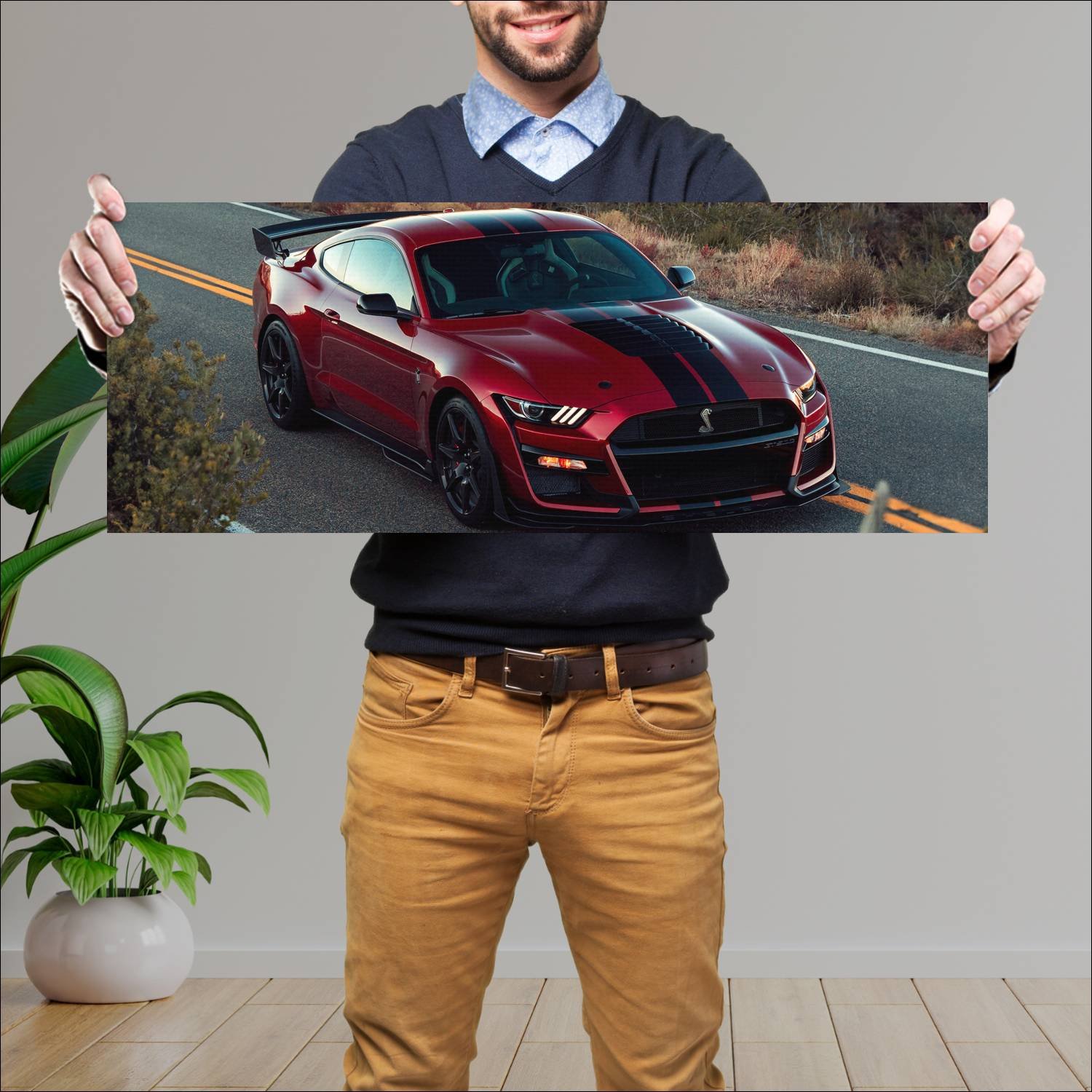 Cuadro grande 30x80cm 2020 shelby gt500 mustang 88 342 Ford