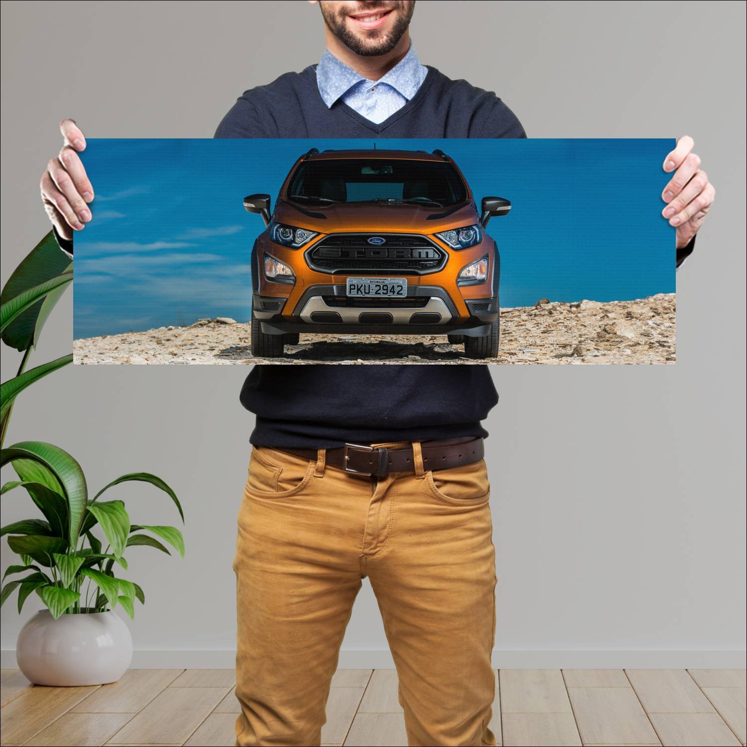 Cuadro grande 30x80cm 2018 ford ecosport storm br Ford