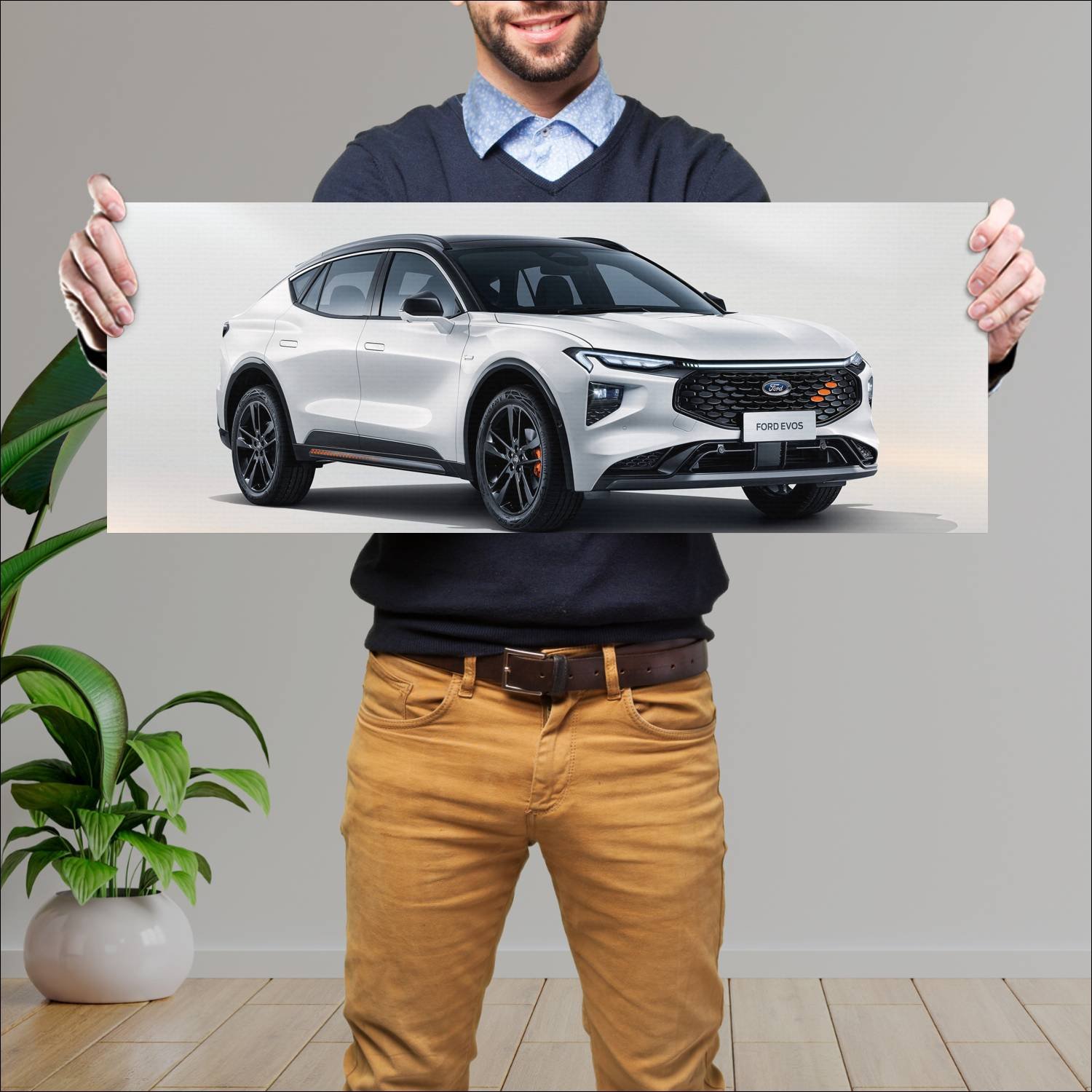 Cuadro grande 30x80cm 2021 ford evos cn Ford