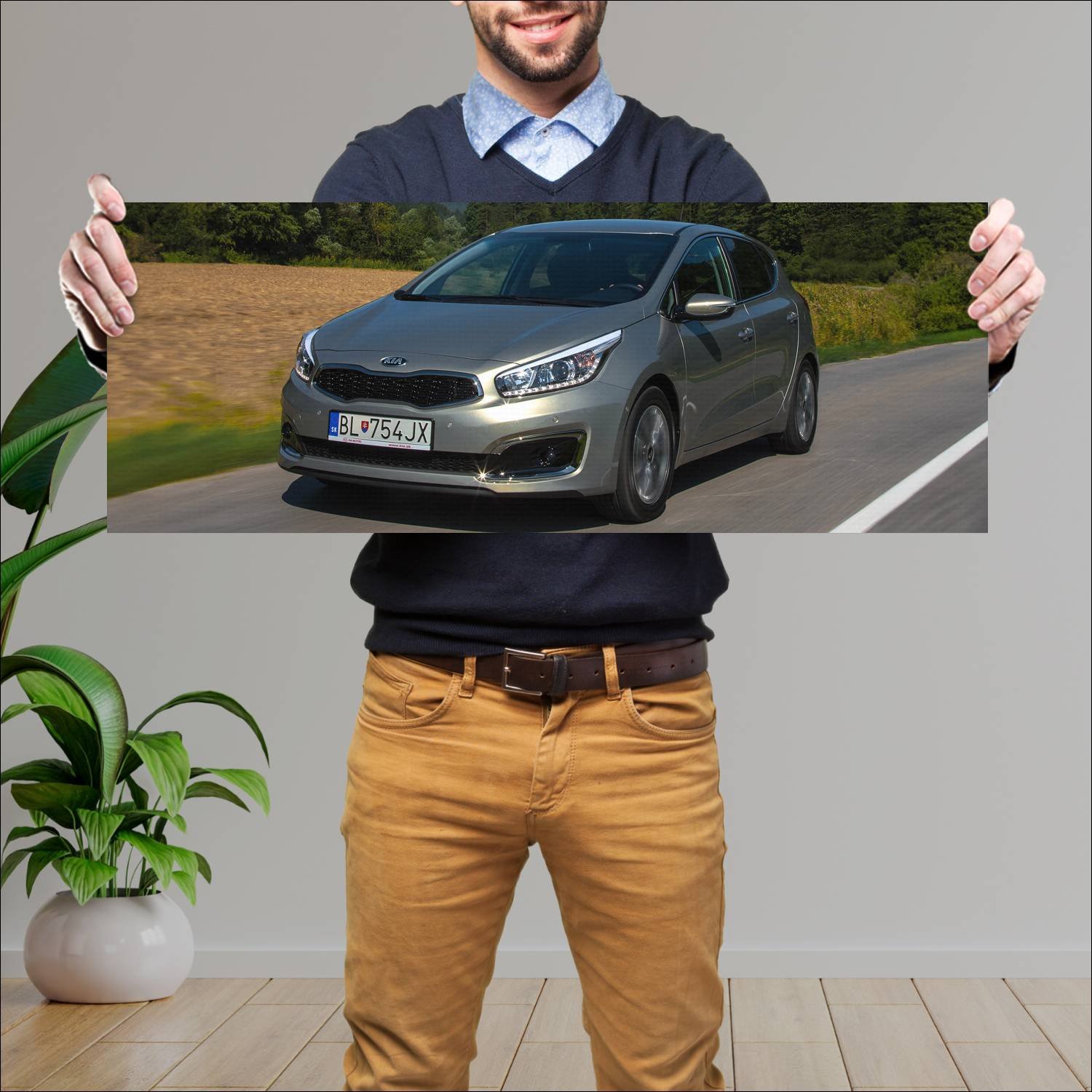 Cuadro grande 30x80cm 2015 kia ceed auto 76 Kia
