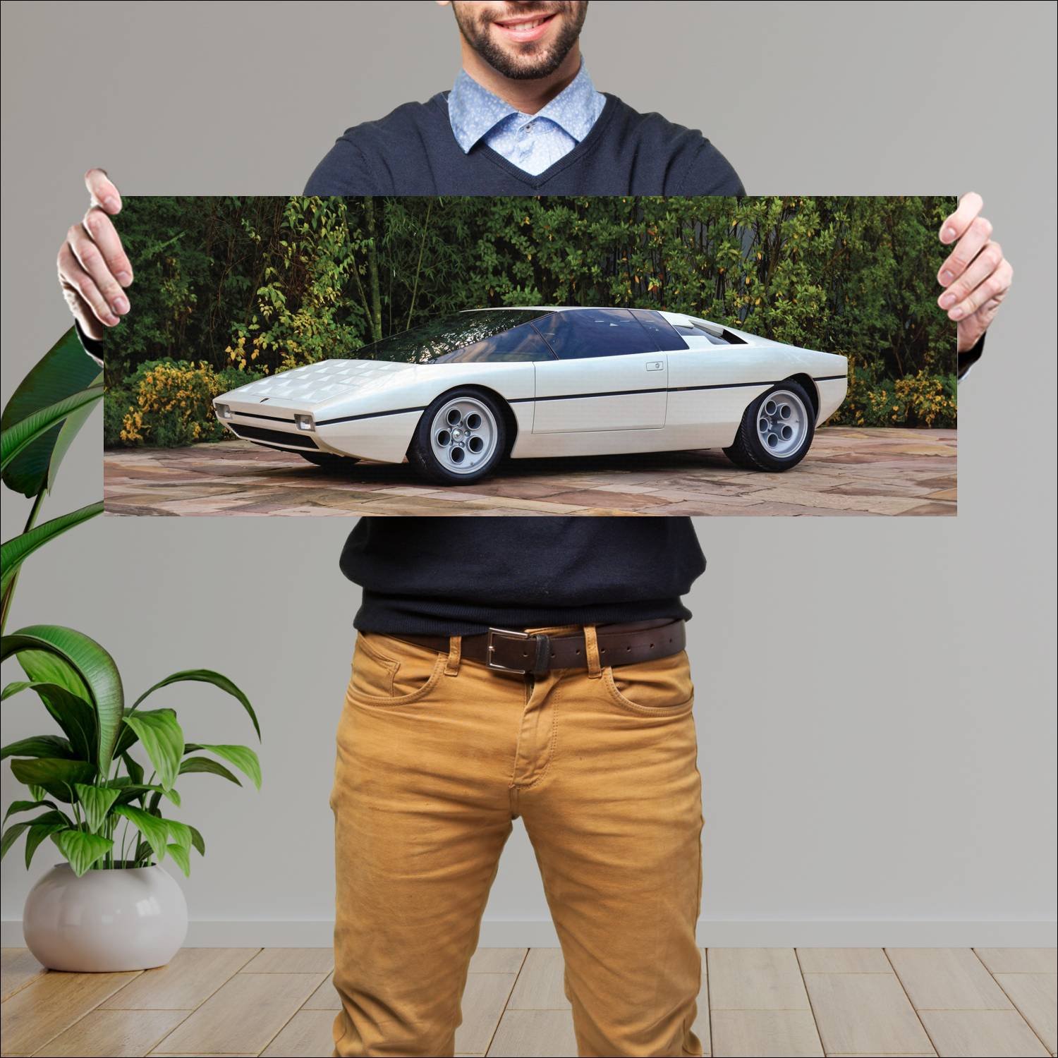 Cuadro grande 30x80cm 1974 lamborghini bravo auto 57 Lamborghini