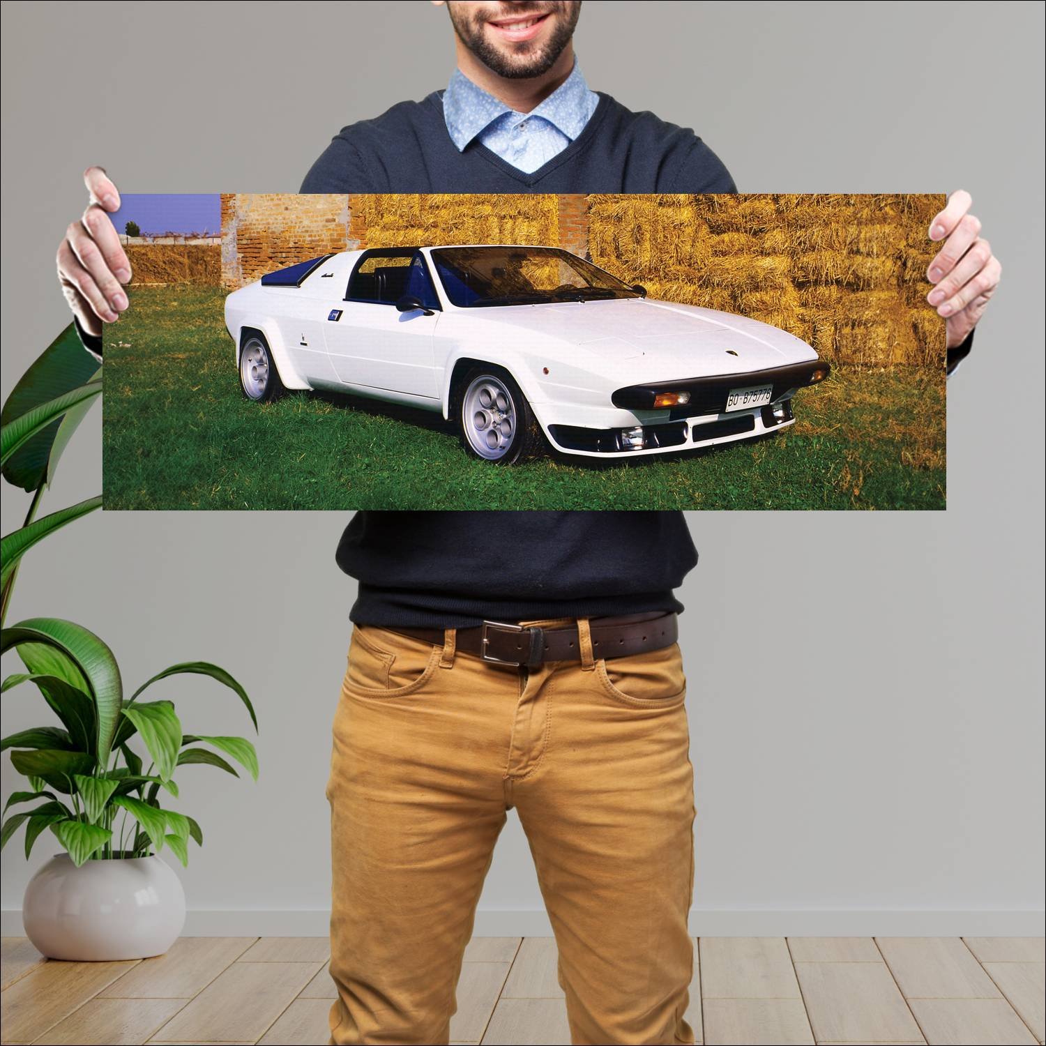 Cuadro grande 30x80cm 1976 lamborghini silhouette 65 Lamborghini