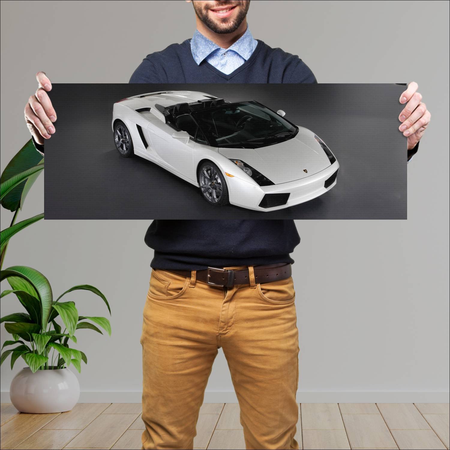 Cuadro grande 30x80cm 2006 lamborghini gallardo sp 165 Lamborghini