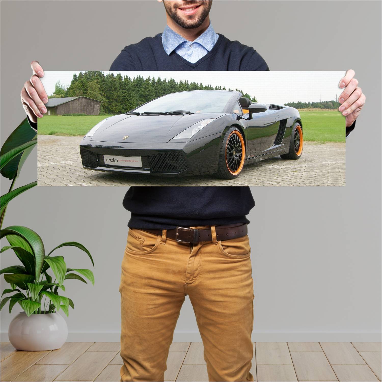 Cuadro grande 30x80cm 2007 lamborghini gallardo sp 182 Lamborghini