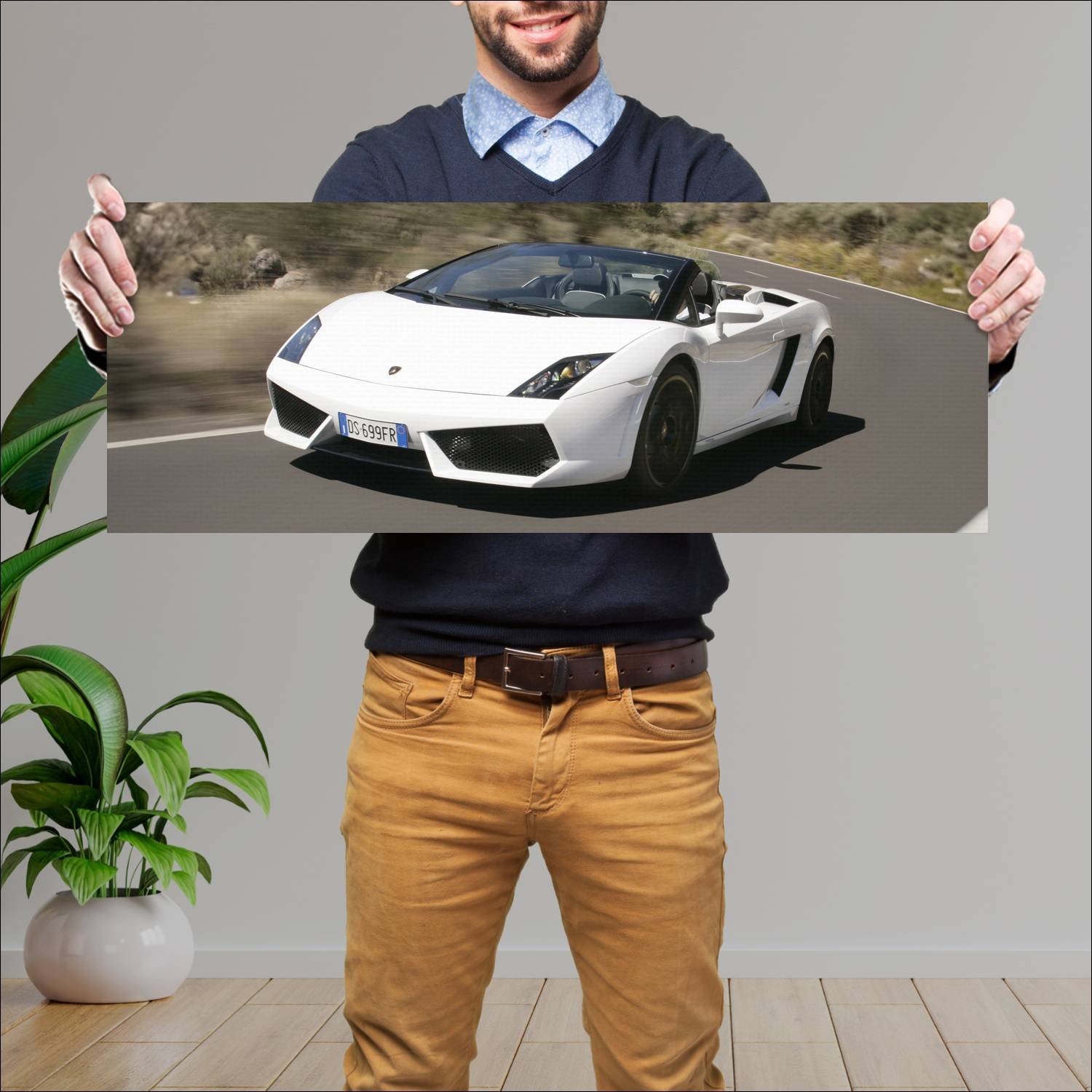 Cuadro grande 30x80cm 2008 lamborghini gallardo lp 194 Lamborghini