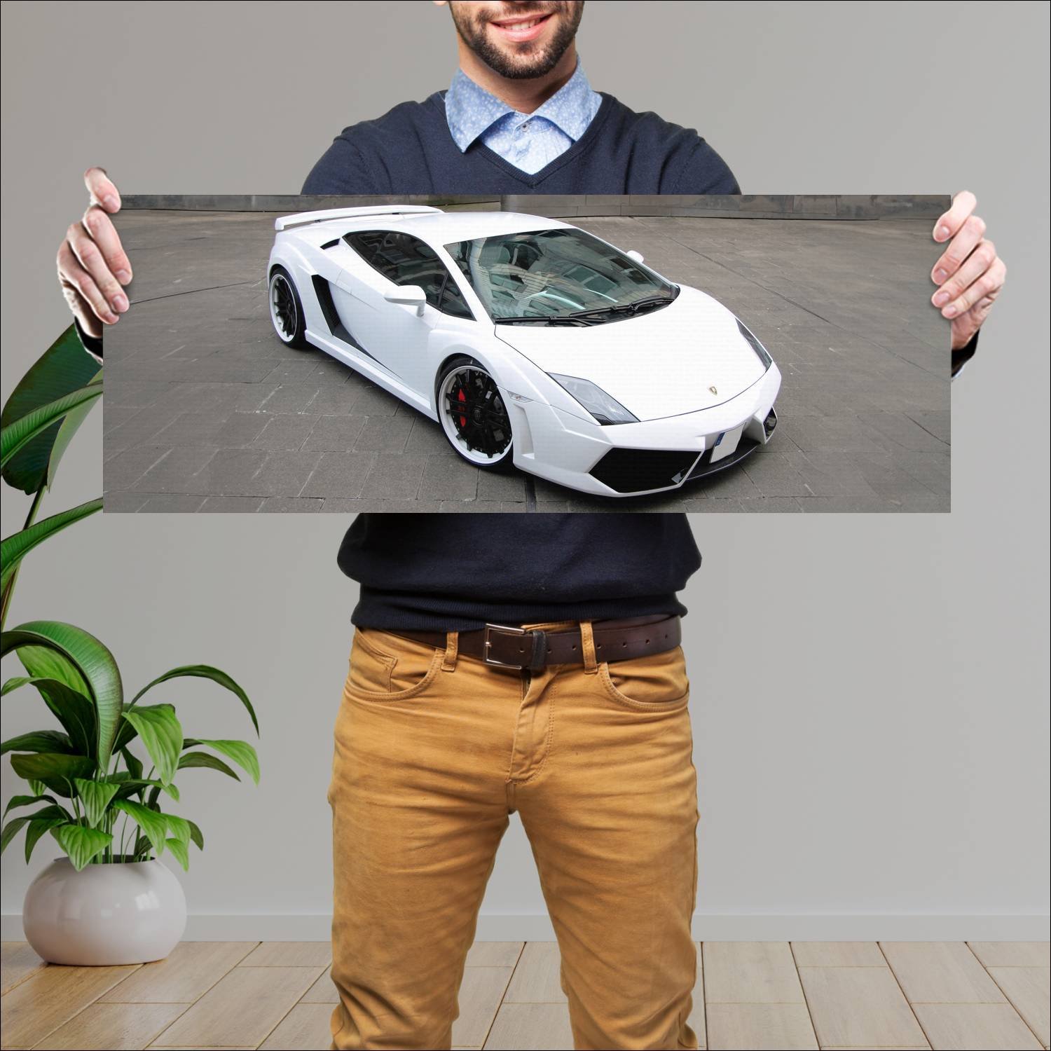 Cuadro grande 30x80cm 2010 lamborghini gallardo lp 222 Lamborghini