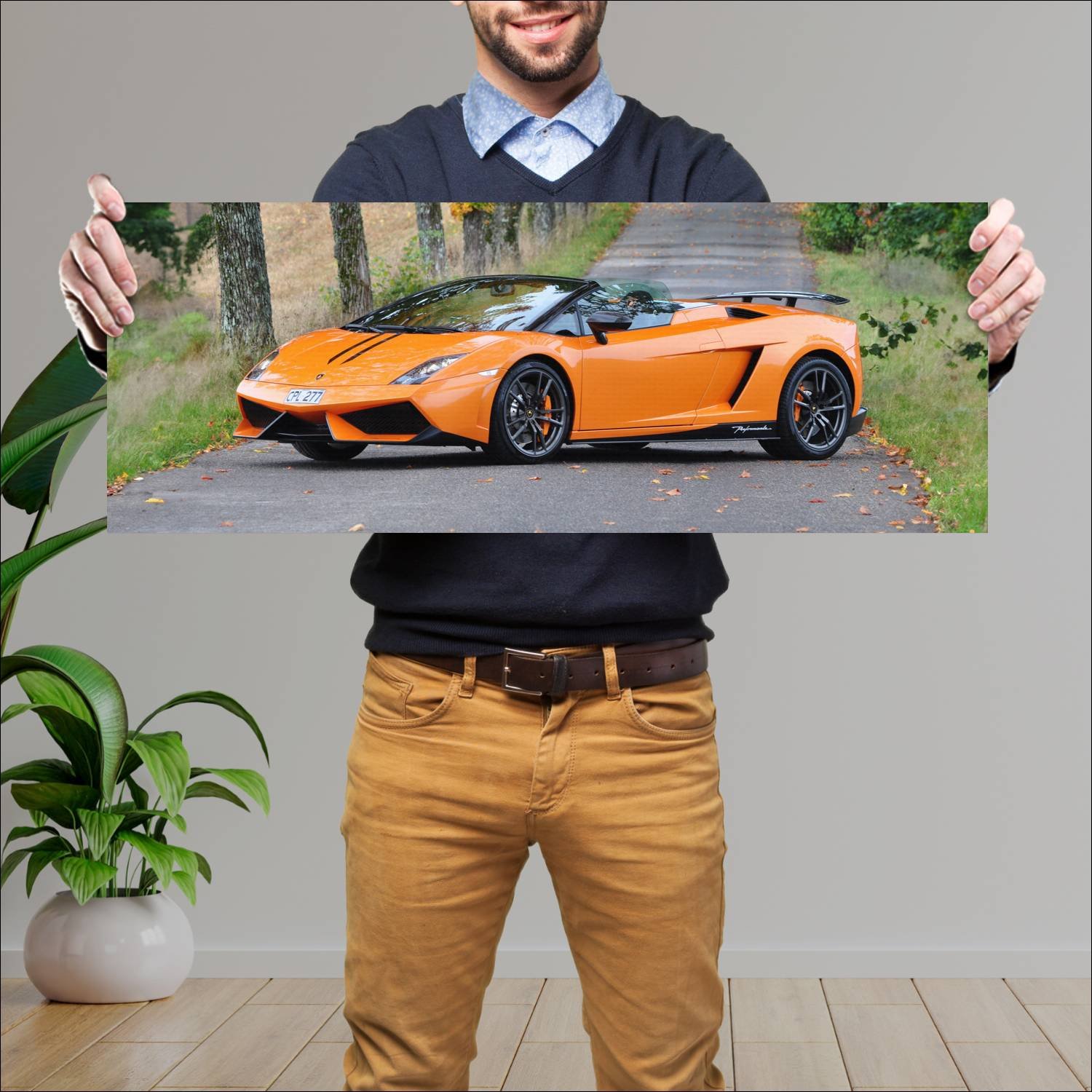 Cuadro grande 30x80cm 2011 lamborghini gallardo lp 242 Lamborghini