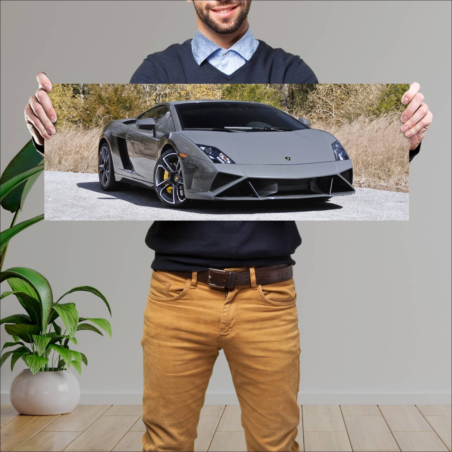Cuadro grande 30x80cm 2012 lamborghini gallardo lp 259 Lamborghini