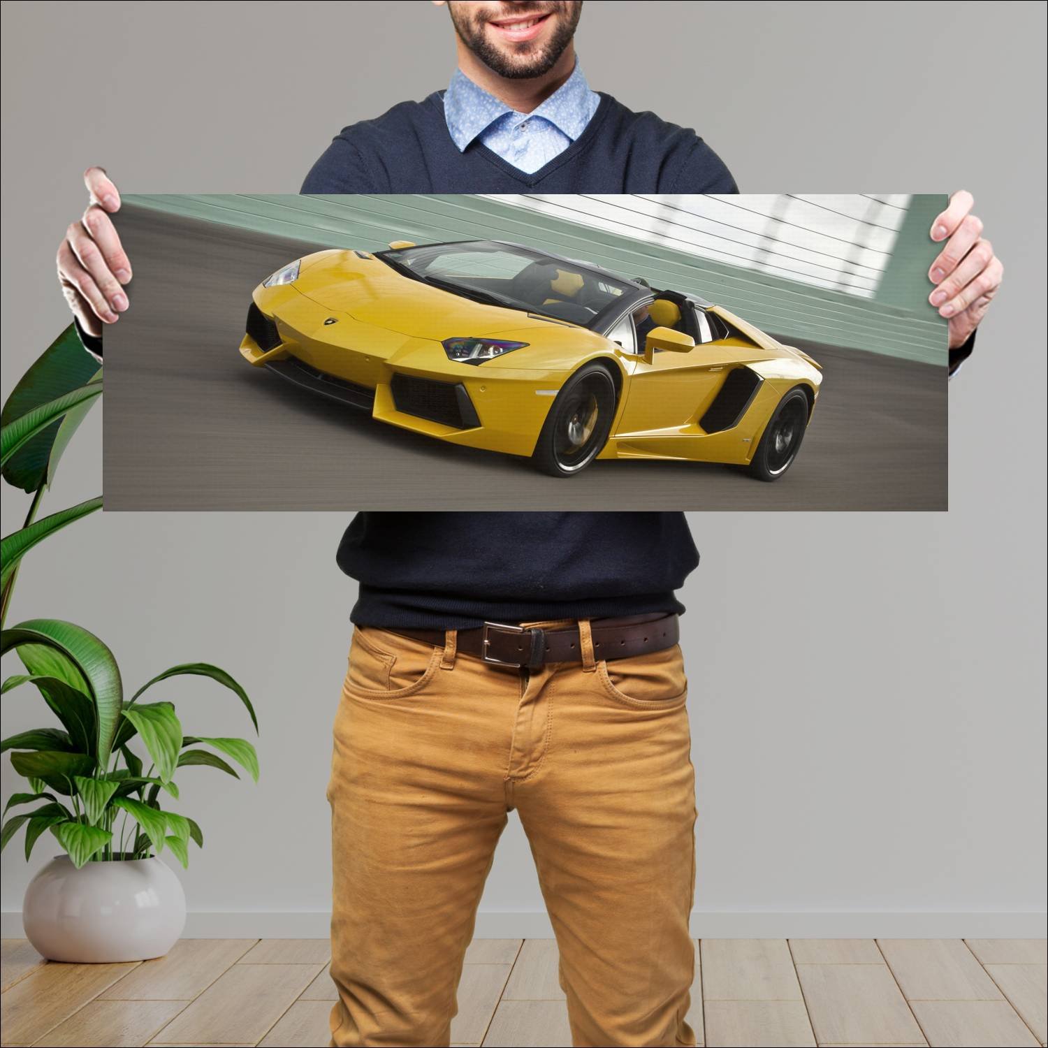 Cuadro grande 30x80cm 2013 lamborghini aventador l 270 Lamborghini