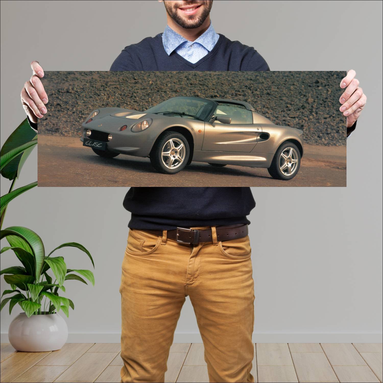 Cuadro grande 30x80cm 1996 lotus elise uk auto 50 Lotus
