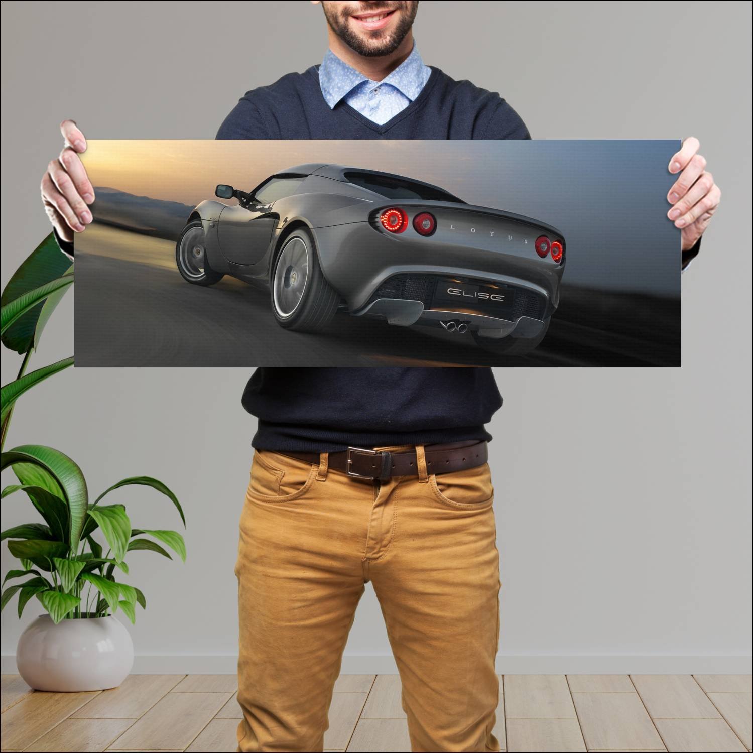 Cuadro grande 30x80cm 2007 lotus elise r uk auto 68 Lotus