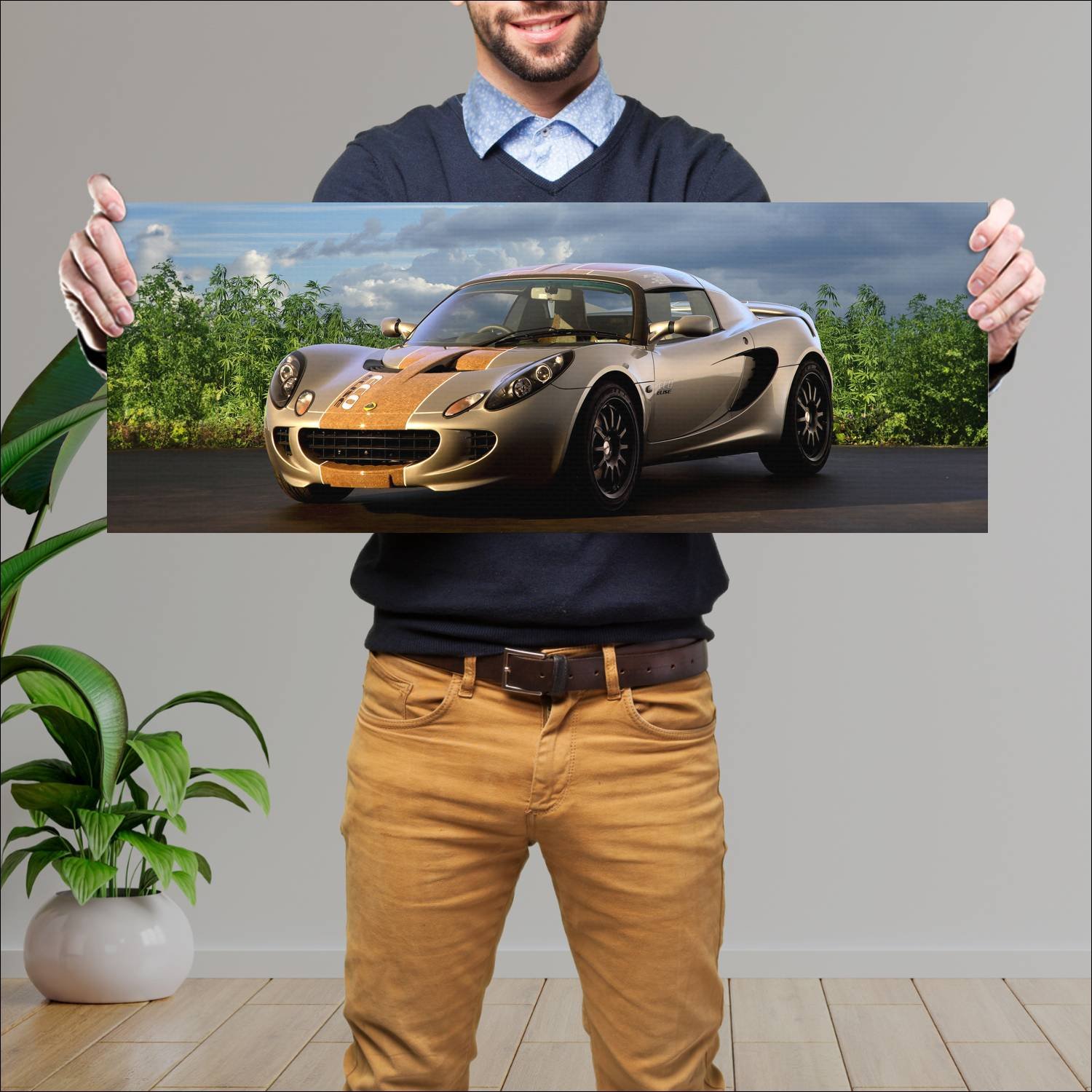 Cuadro grande 30x80cm 2008 lotus eco elise uk 628 72 Lotus