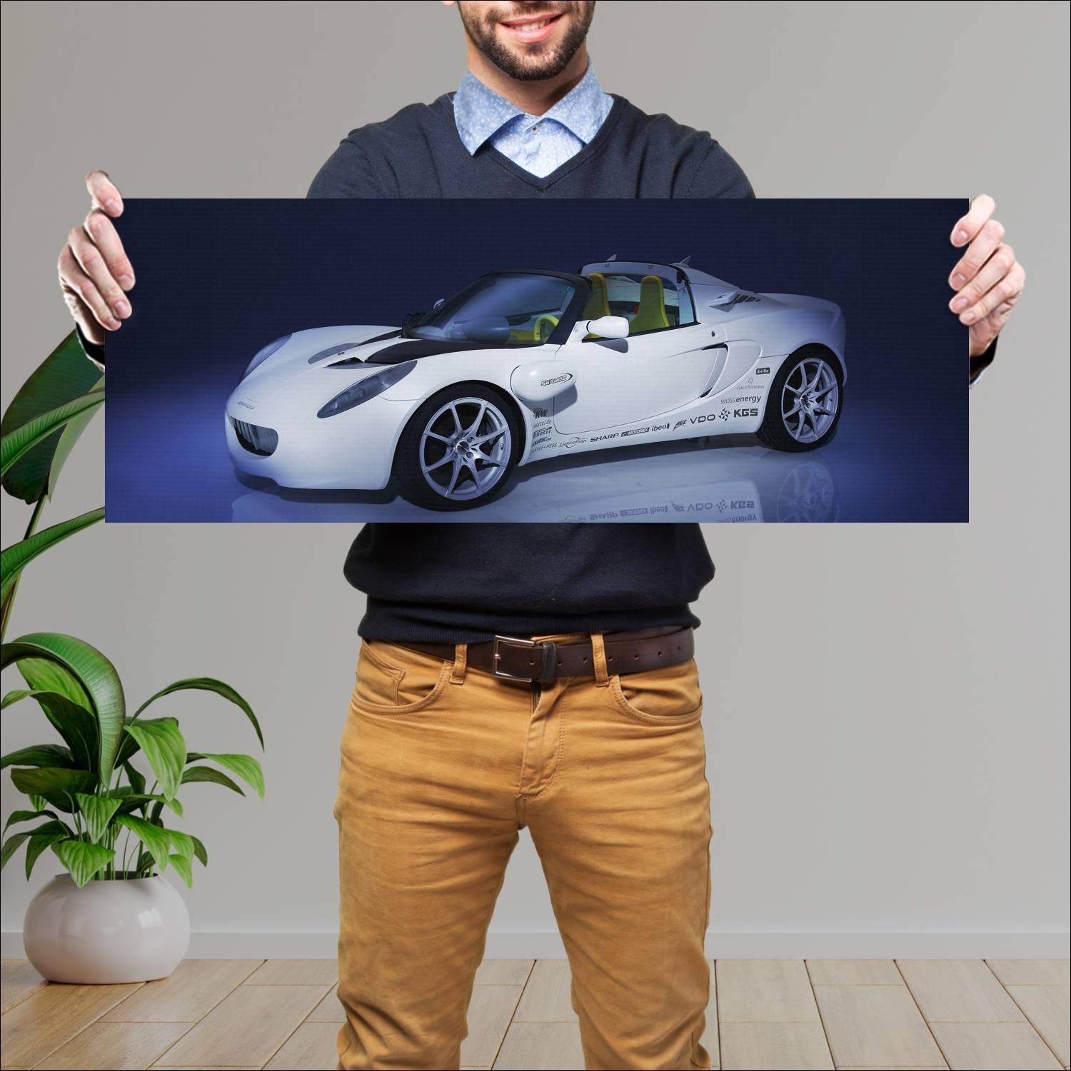 Cuadro grande 30x80cm 2008 rinspeed squba auto 81 Lotus