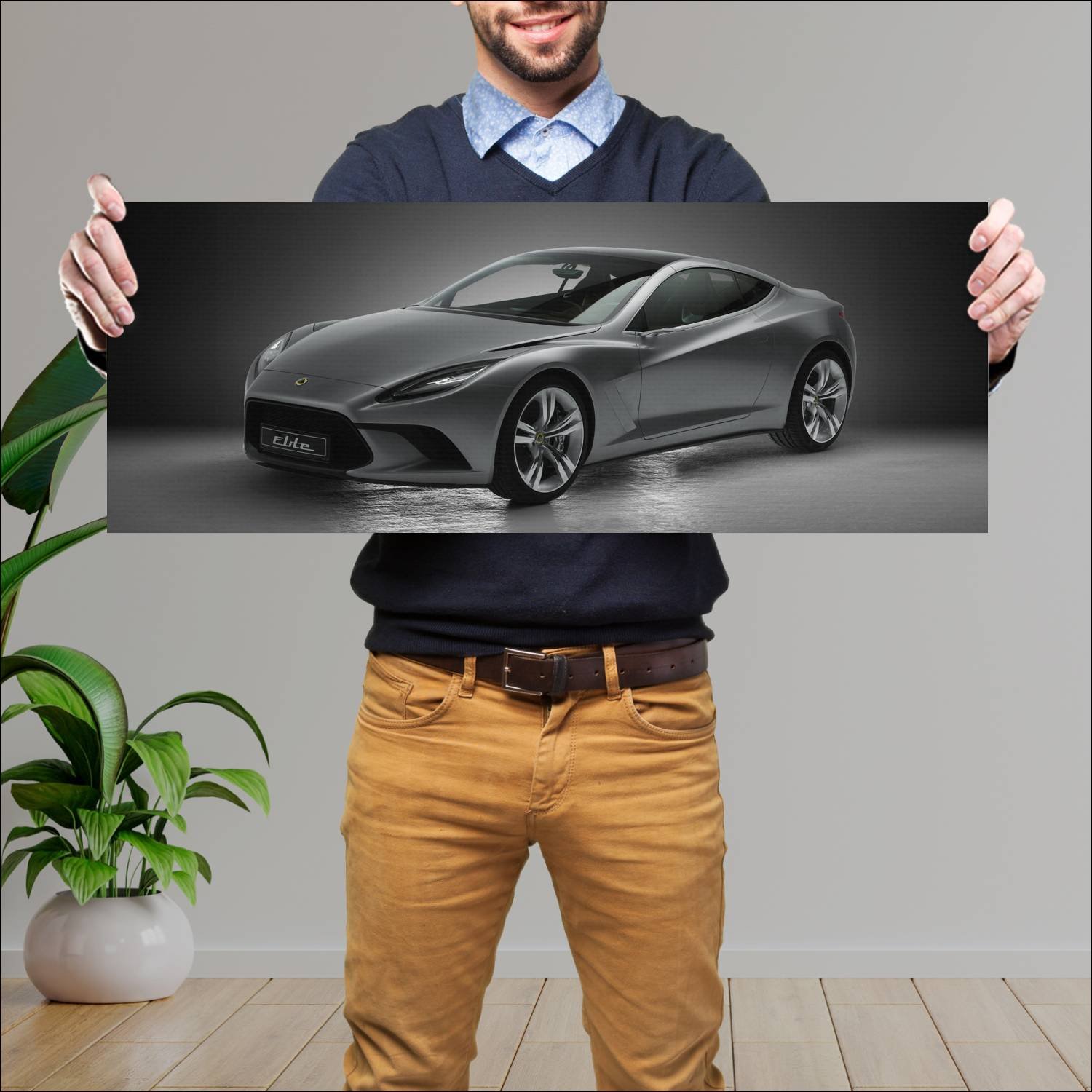 Cuadro grande 30x80cm 2010 lotus elite concept 418 95 Lotus