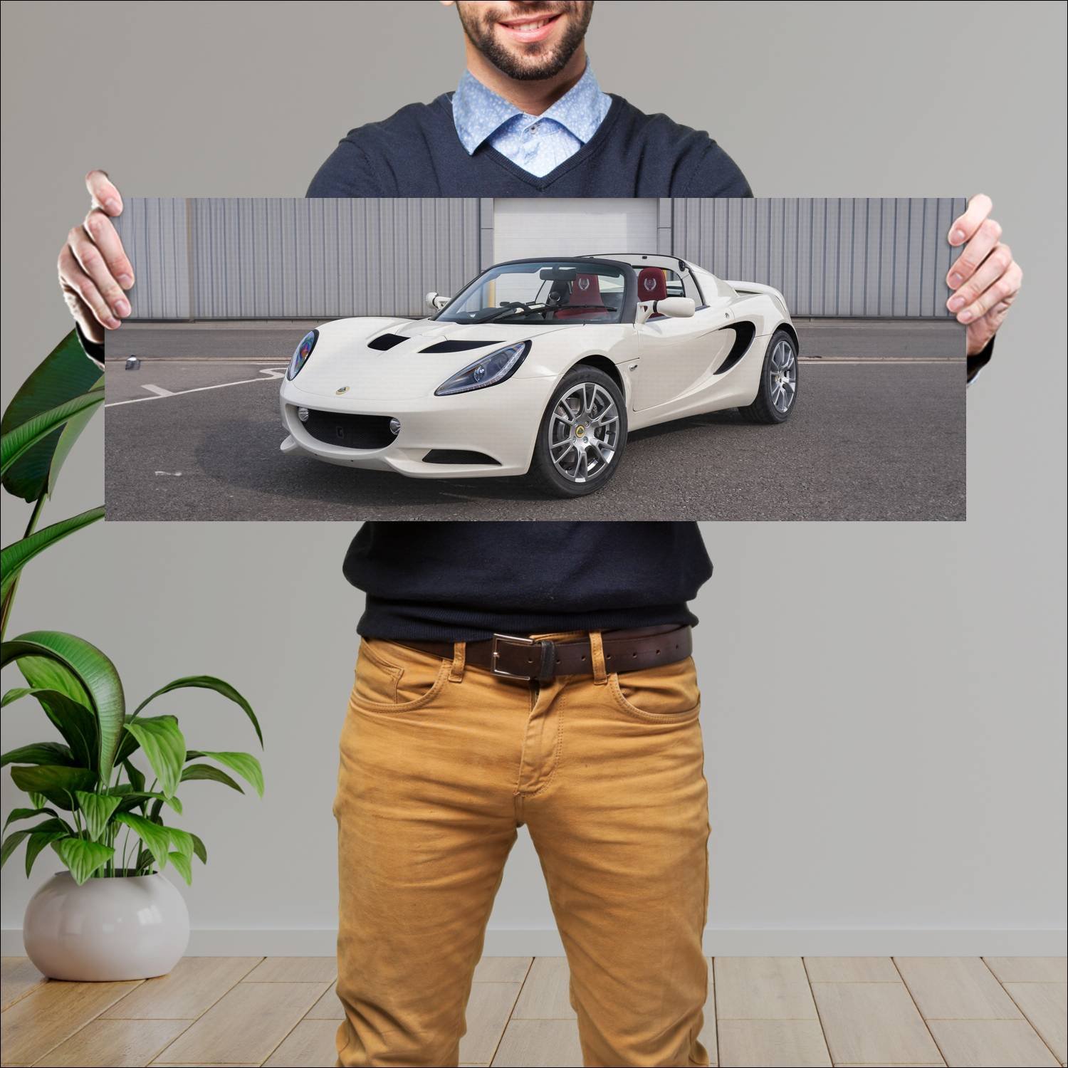 Cuadro grande 30x80cm 2015 lotus elise s neo class 148 Lotus