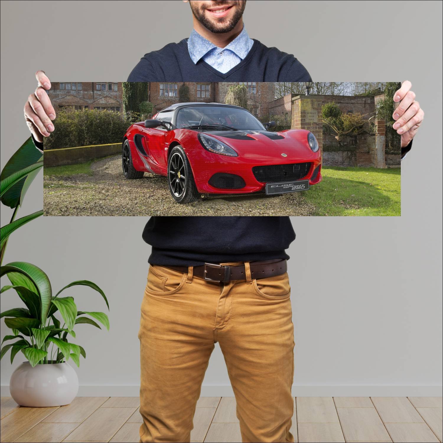 Cuadro grande 30x80cm 2017 lotus elise sprint 220 168 Lotus