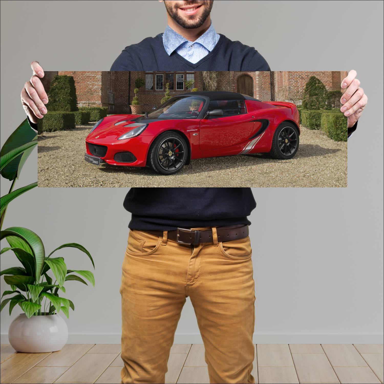 Cuadro grande 30x80cm 2017 lotus elise sprint 220 170 Lotus