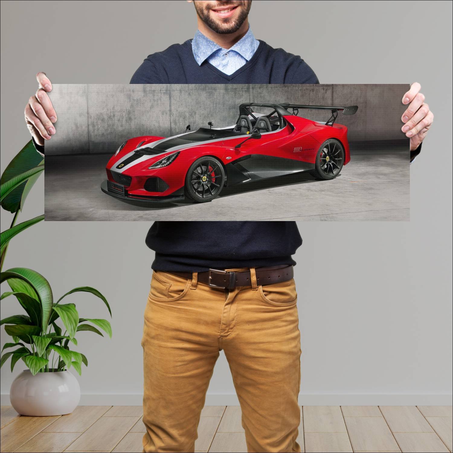 Cuadro grande 30x80cm 2018 lotus 3 eleven 430 Lotus