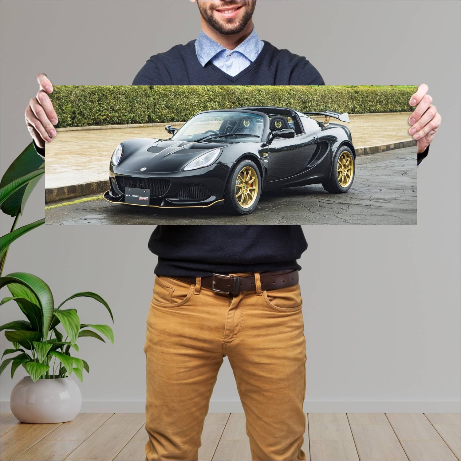 Cuadro grande 30x80cm 2018 lotus elise cup 250 gp 180 Lotus