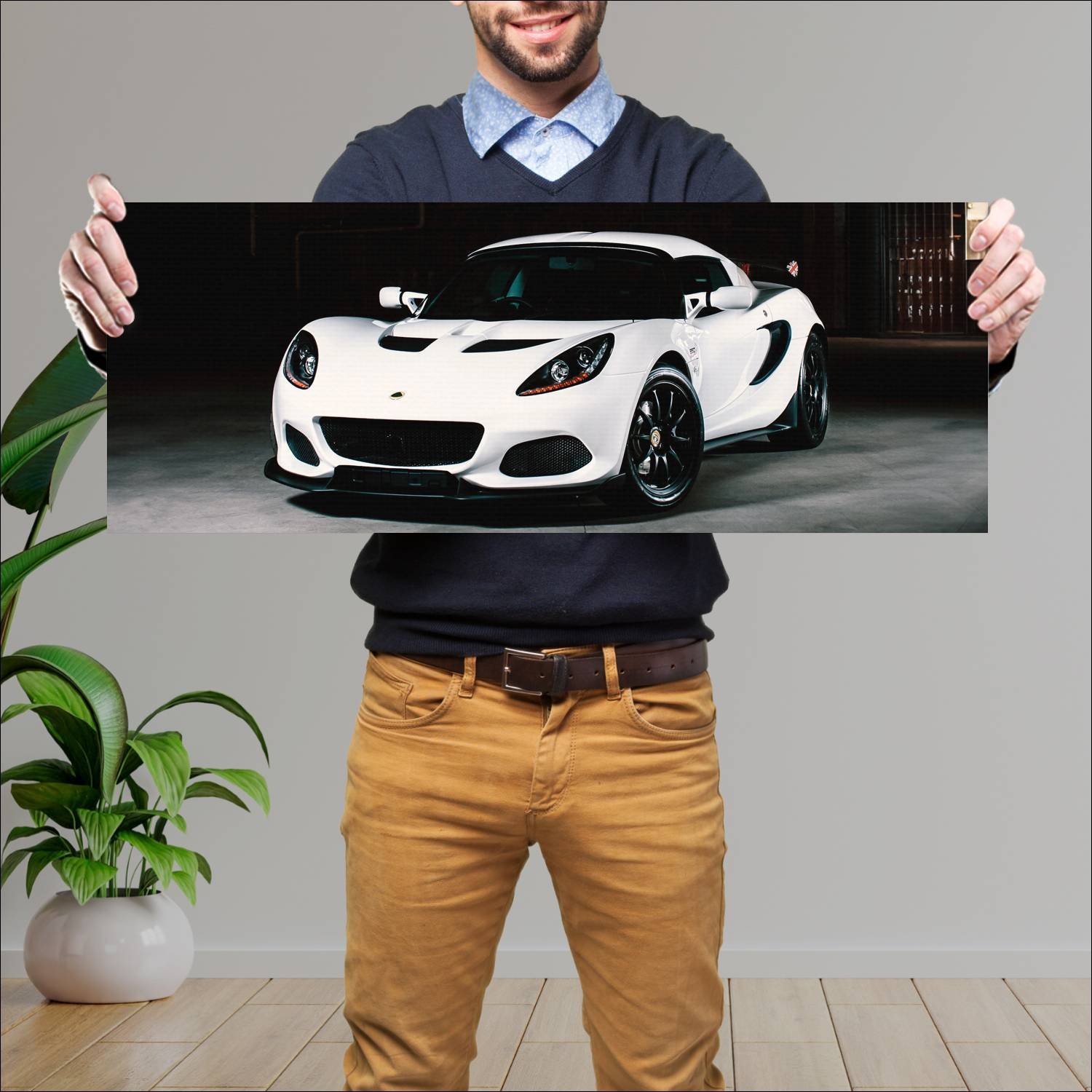 Cuadro grande 30x80cm 2020 lotus elise cup 250 bat 194 Lotus