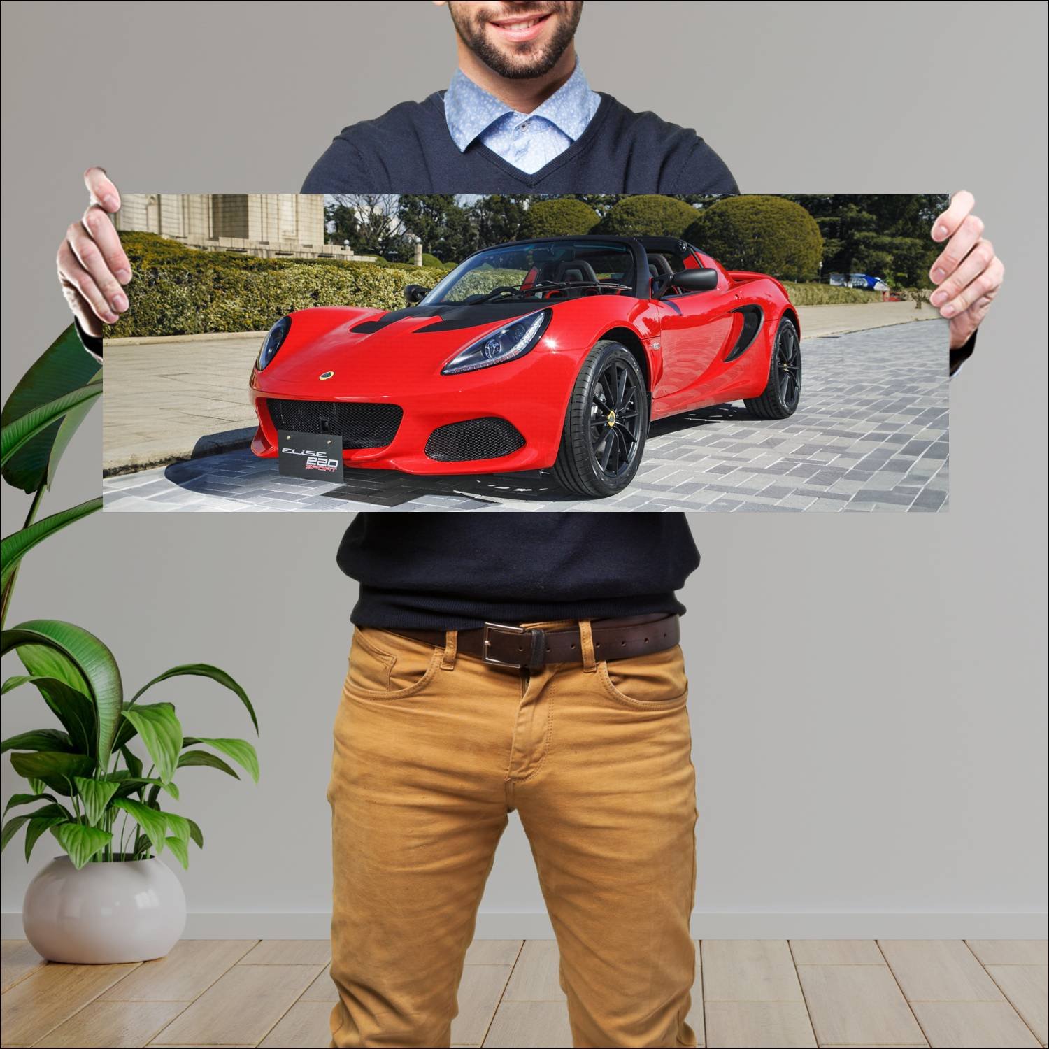 Cuadro grande 30x80cm 2020 lotus elise sport 220 s 195 Lotus