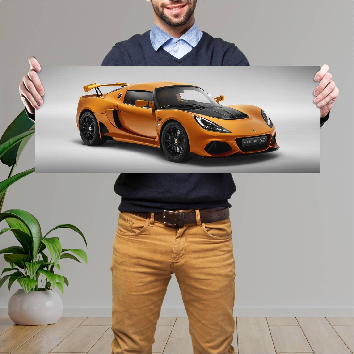 Cuadro grande 30x80cm 2020 lotus exige sport 410 2 205 Lotus