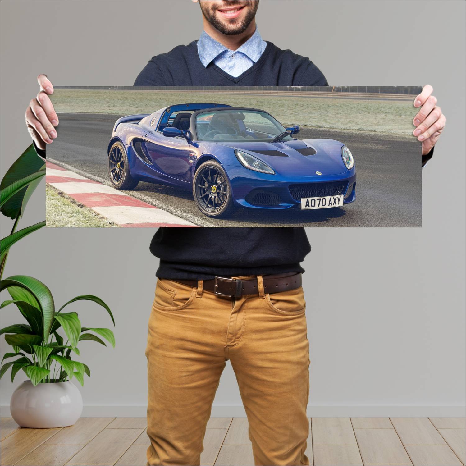 Cuadro grande 30x80cm 2021 lotus elise sport 240 f 207 Lotus