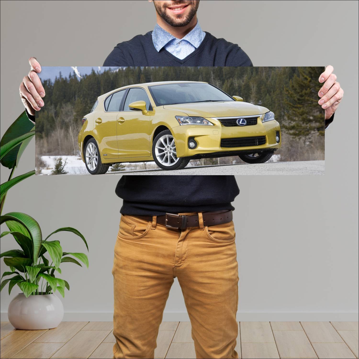 Cuadro grande 30x80cm 2011 lexus ct hybrid us Lexus