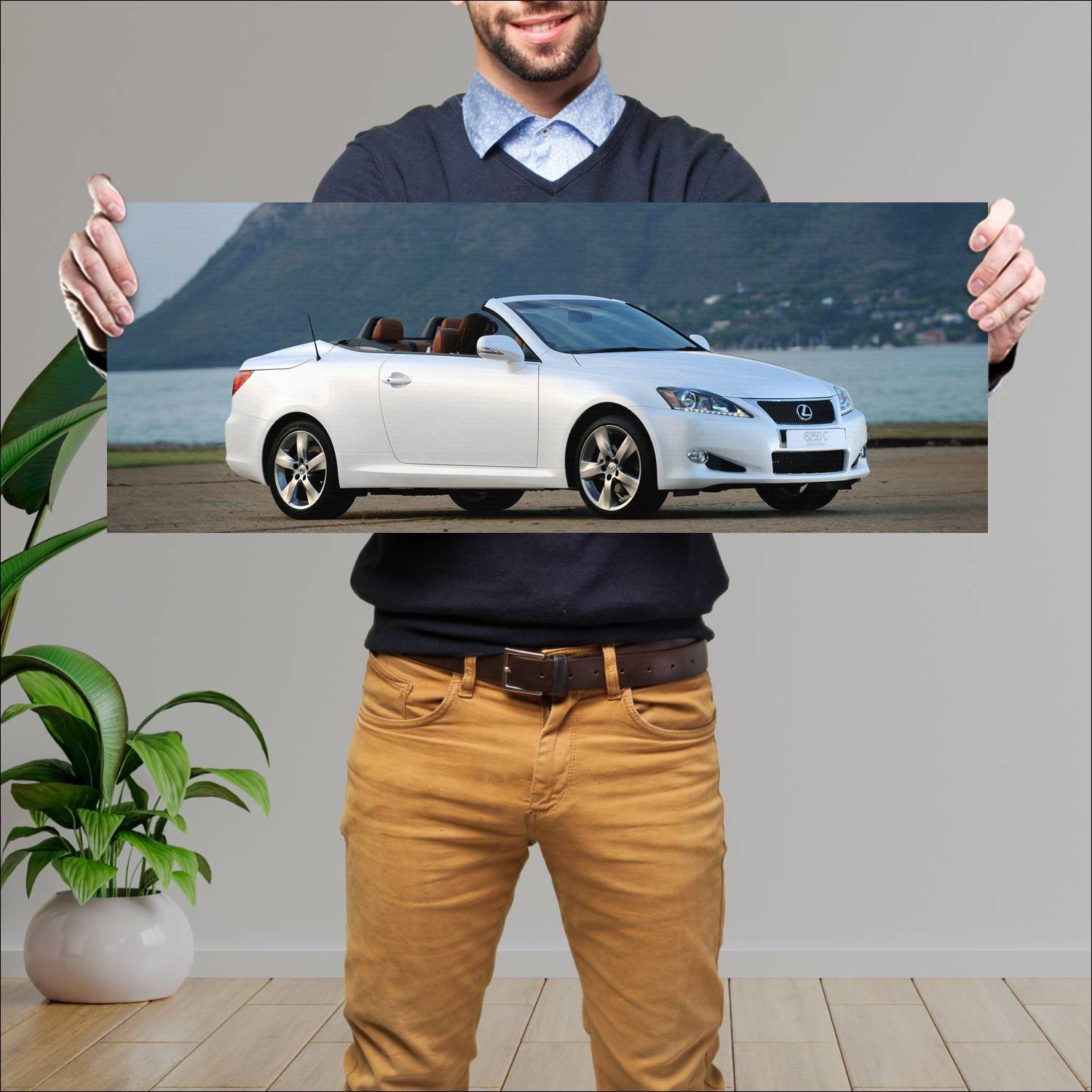 Cuadro grande 30x80cm 2011 lexus is convertible li 245 Lexus