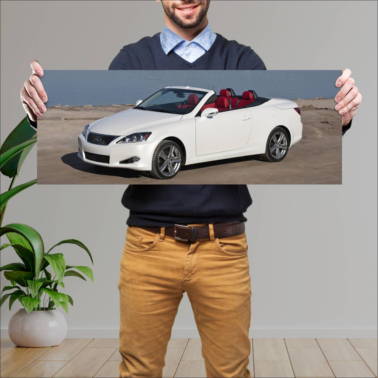 Cuadro grande 30x80cm 2011 lexus is convertible sp 246 Lexus