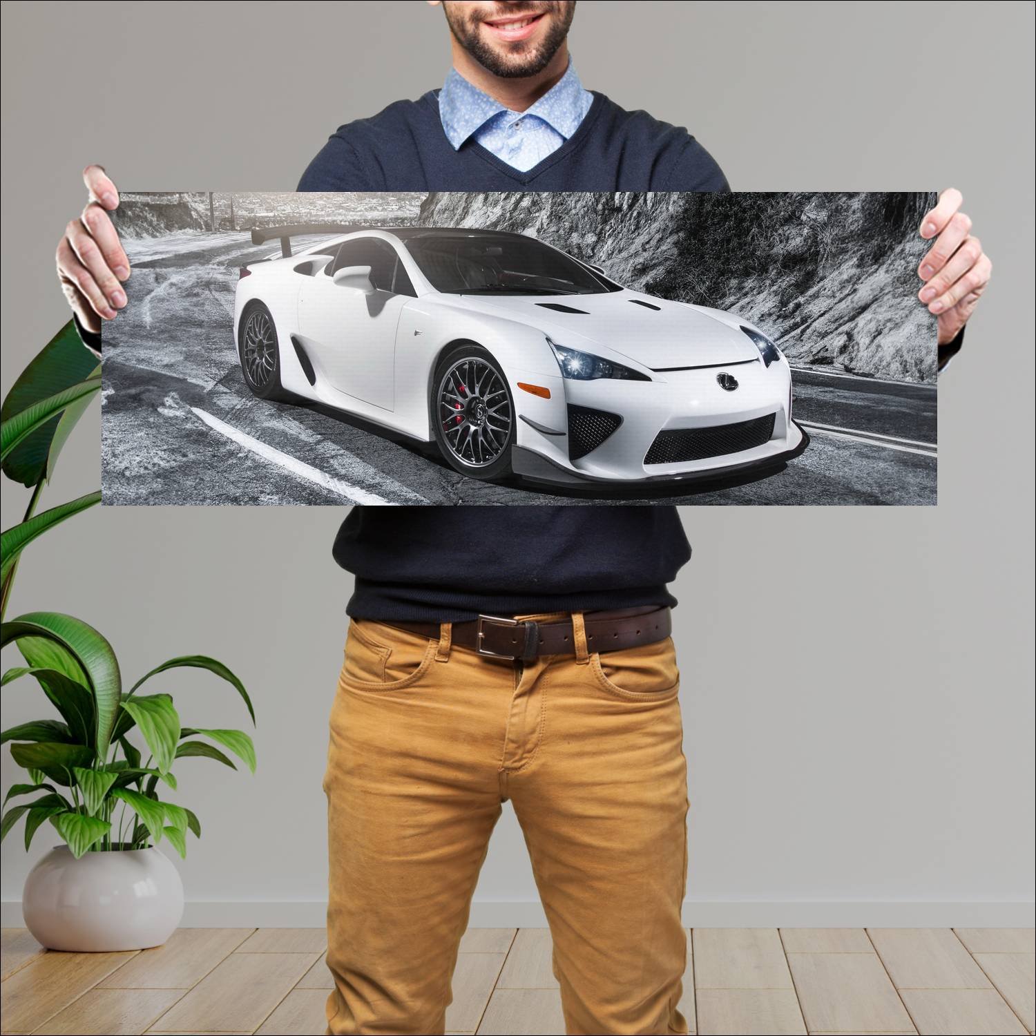 Cuadro grande 30x80cm 2011 lexus lfa nurburgring p 252 Lexus