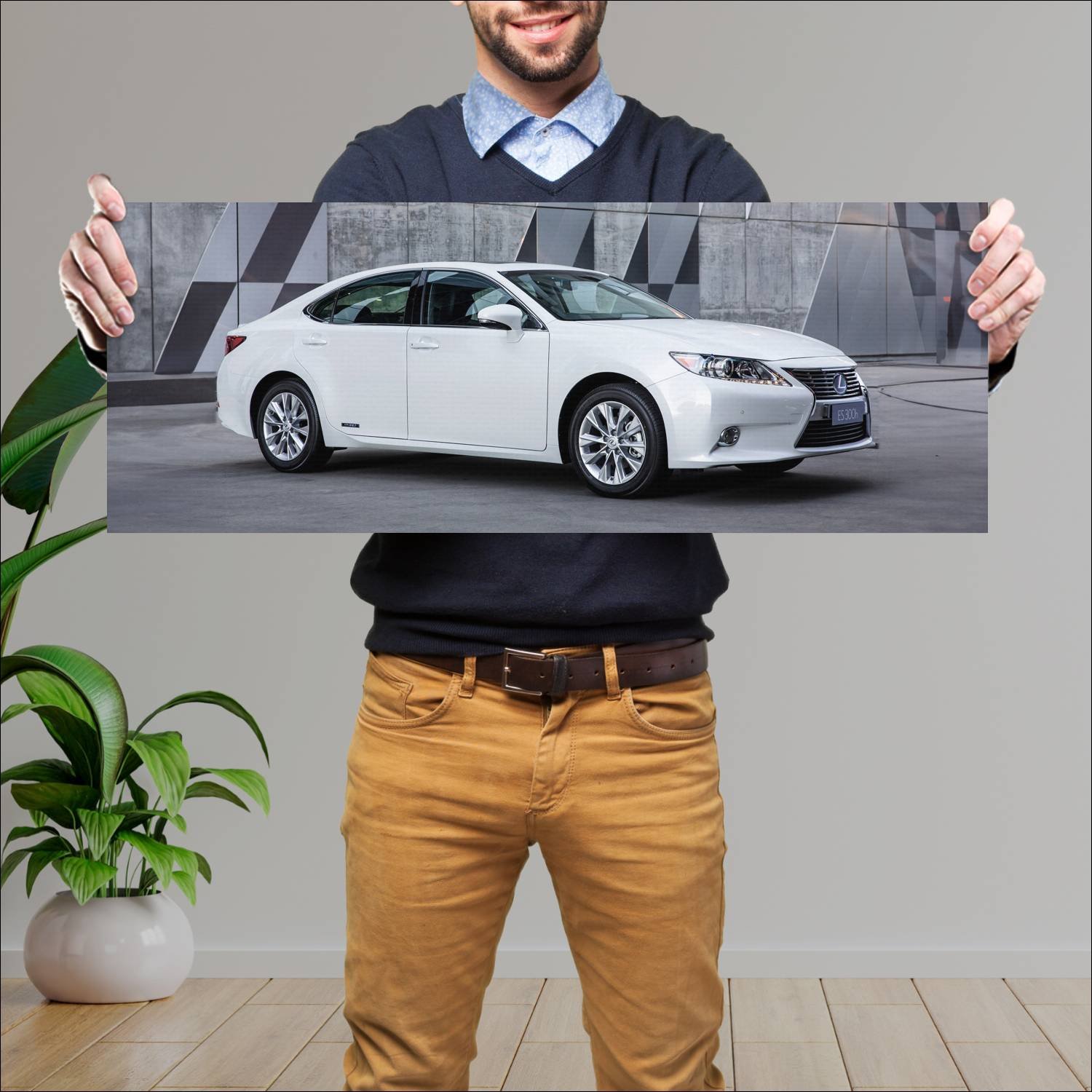 Cuadro grande 30x80cm 2013 lexus es hybrid au Lexus