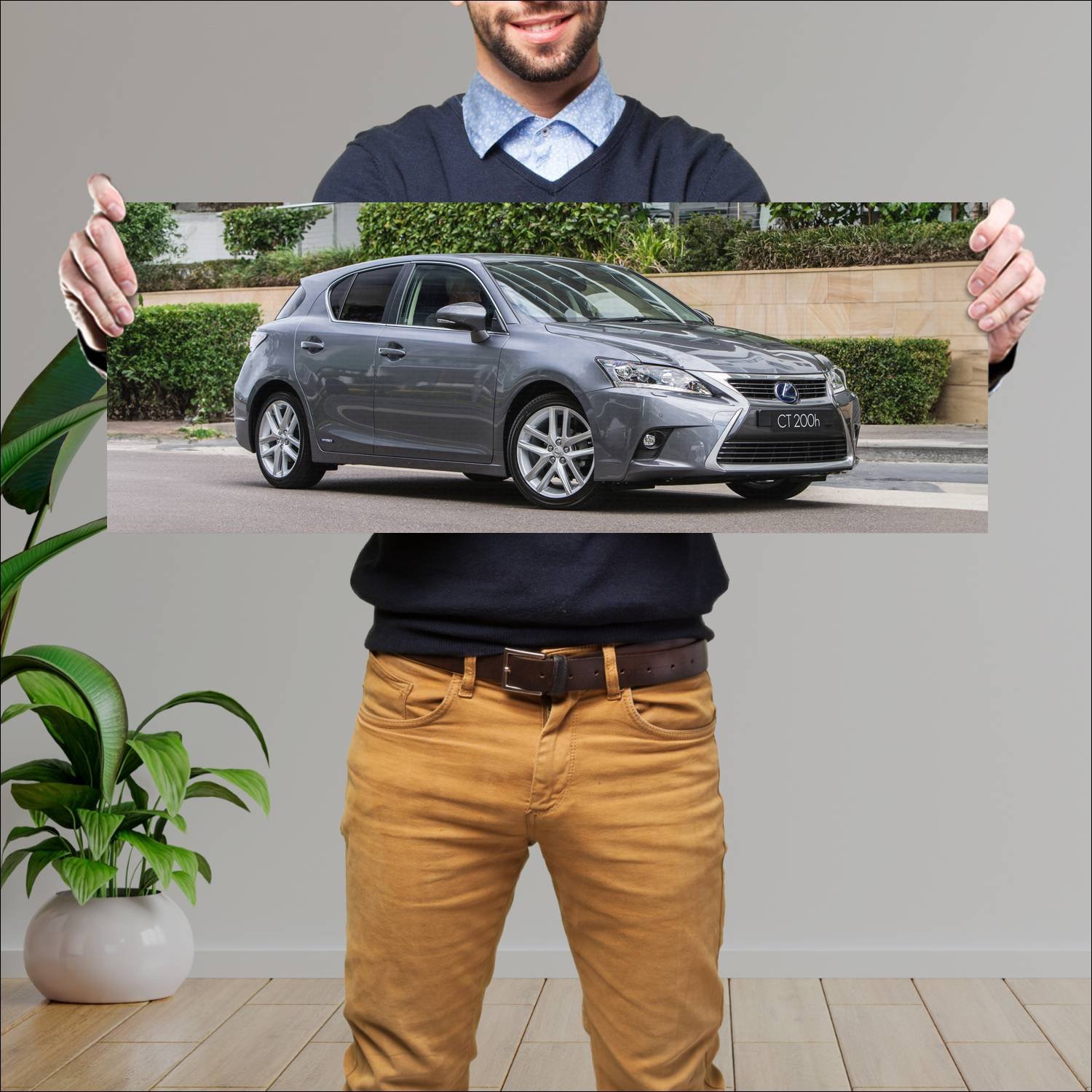 Cuadro grande 30x80cm 2014 lexus ct hybrid au Lexus